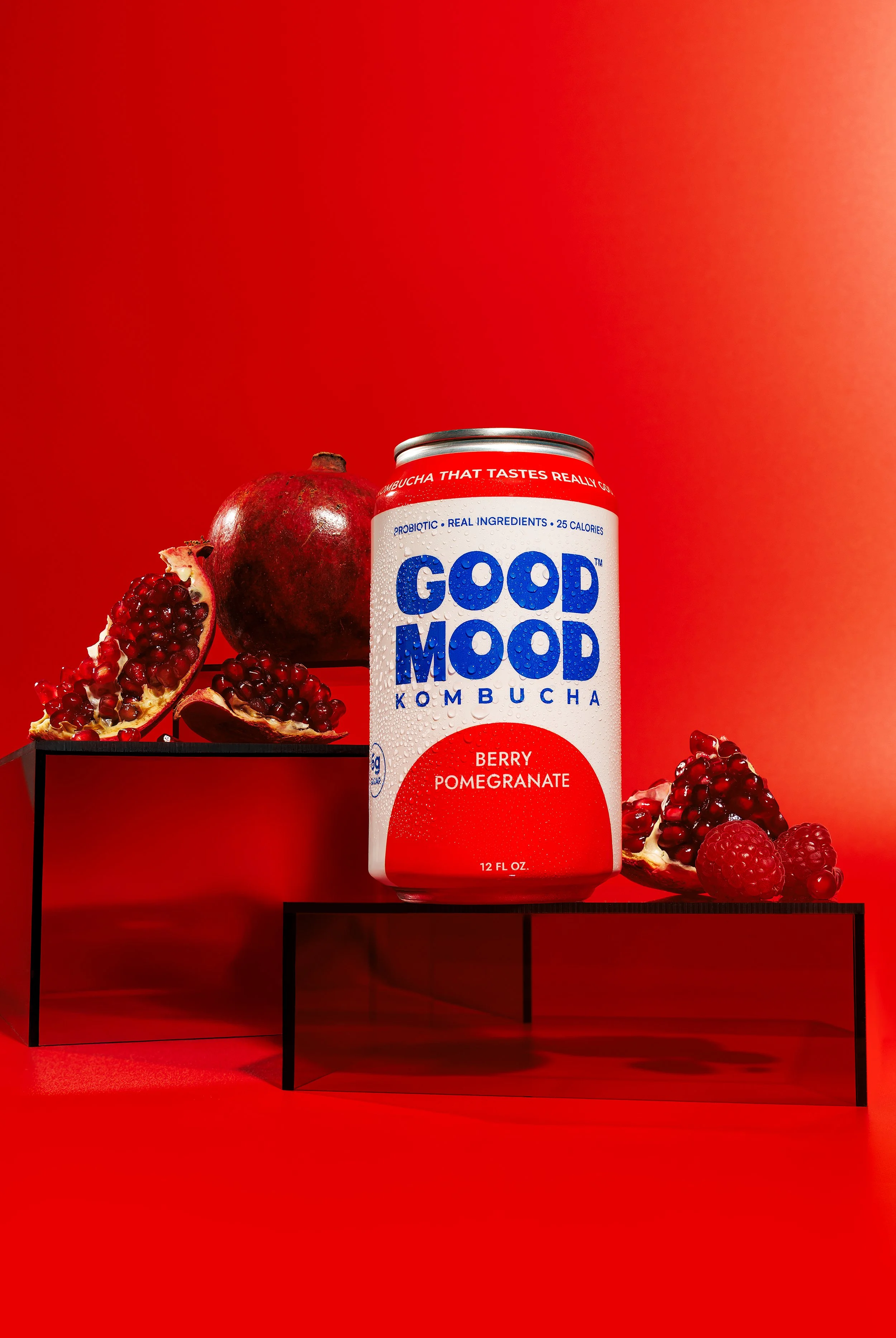goodmoodkombucha_feb26_sm_022.JPG