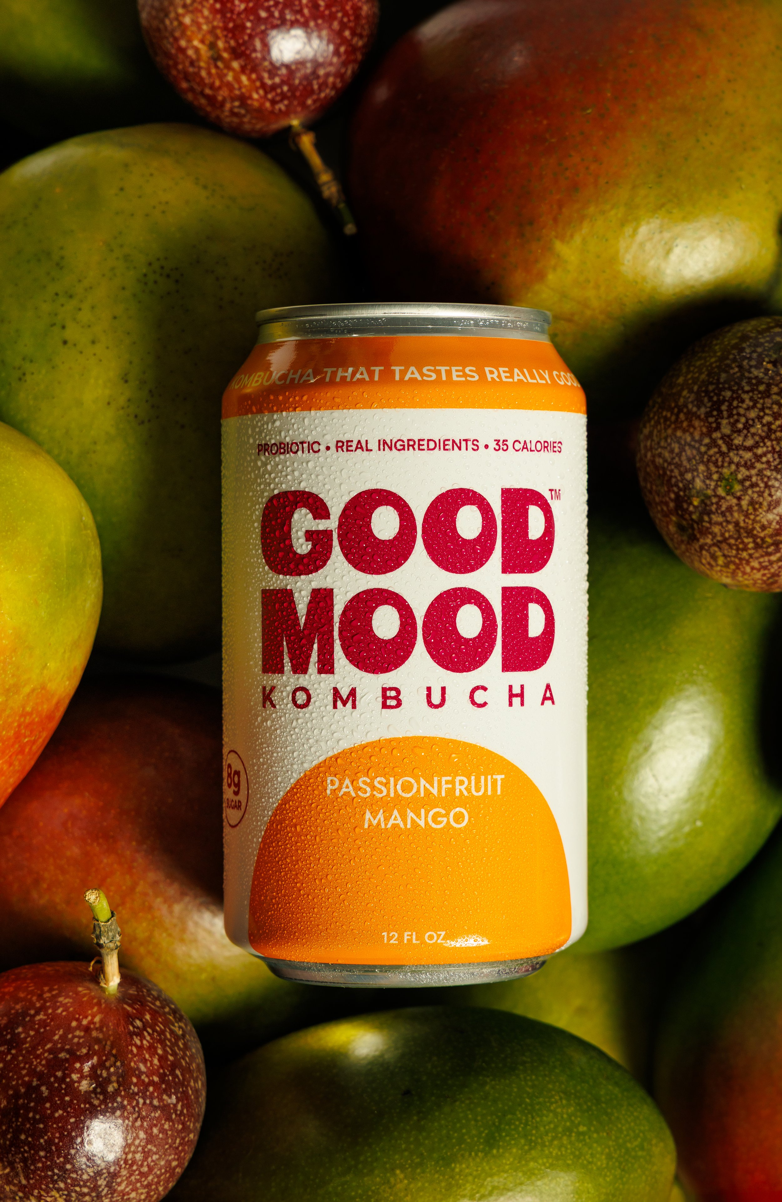 goodmoodkombucha_feb26_sm_005.JPG