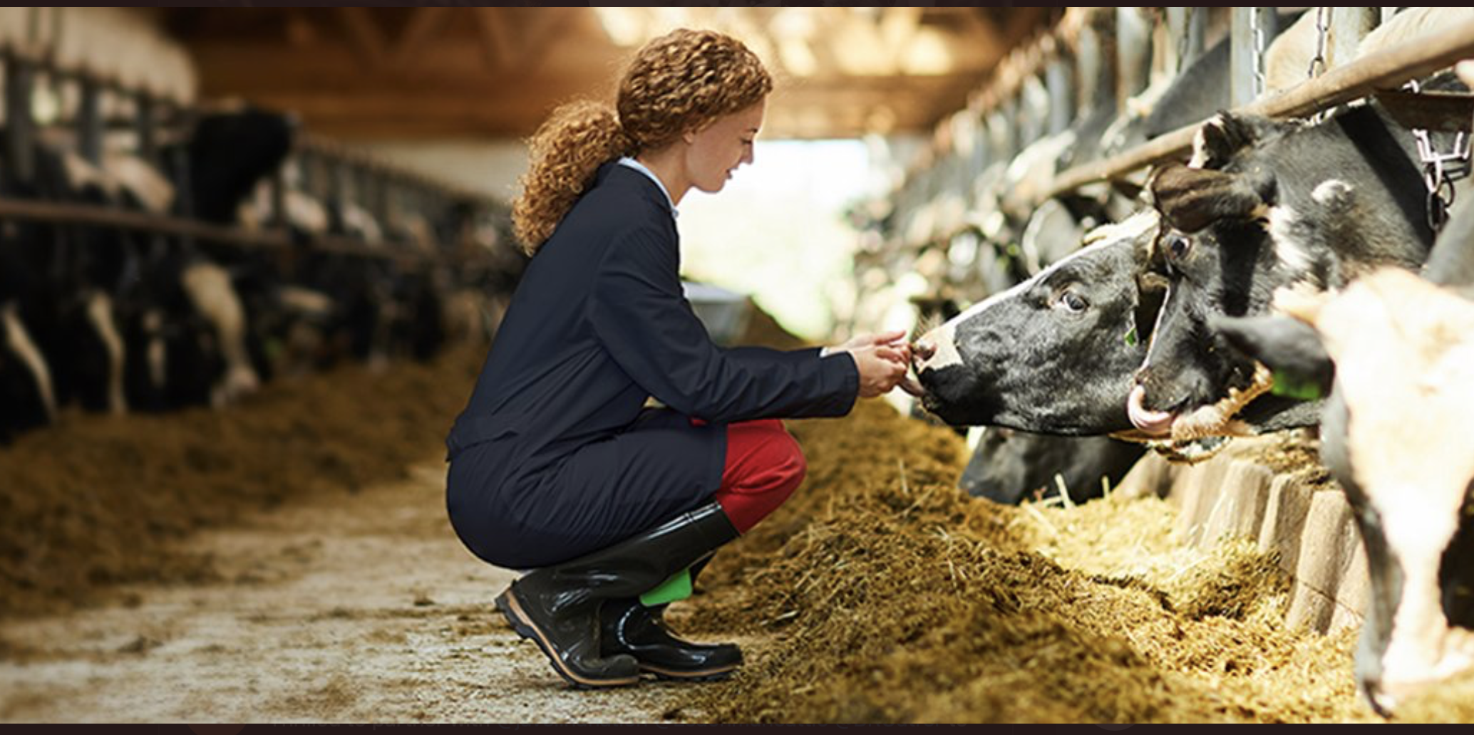 Screen Shot 2022-12-14 at 1.06.02 PM.png