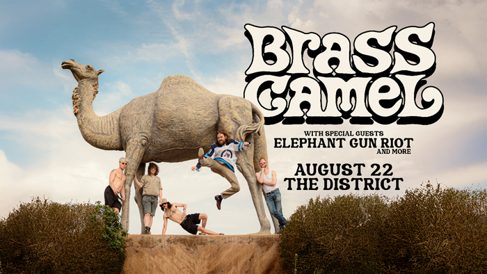 Brass Camel