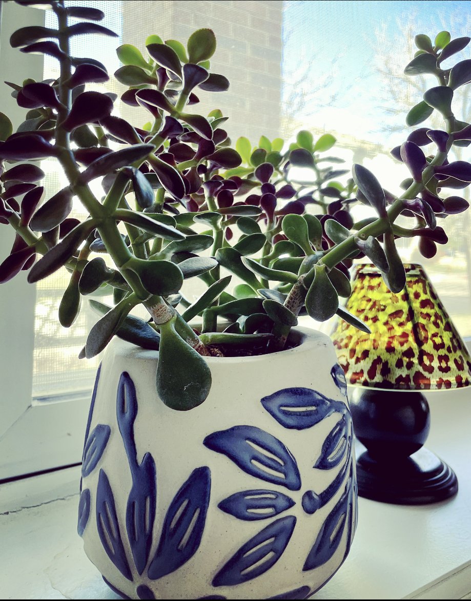 HallwayPlant.jpg