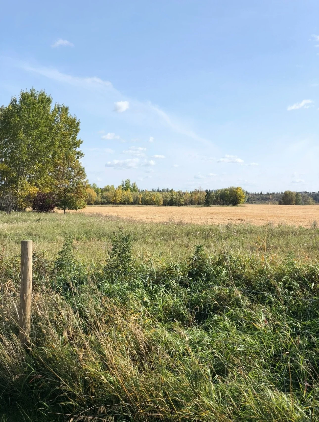 View recent photos.JPEG