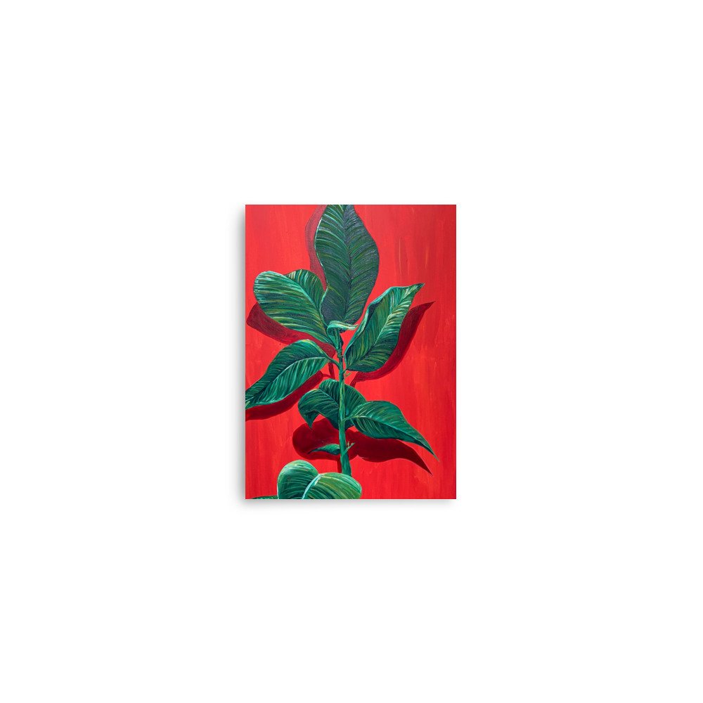 enhanced-matte-paper-poster-(in)-5x7-front-63da8fca6174a.jpg