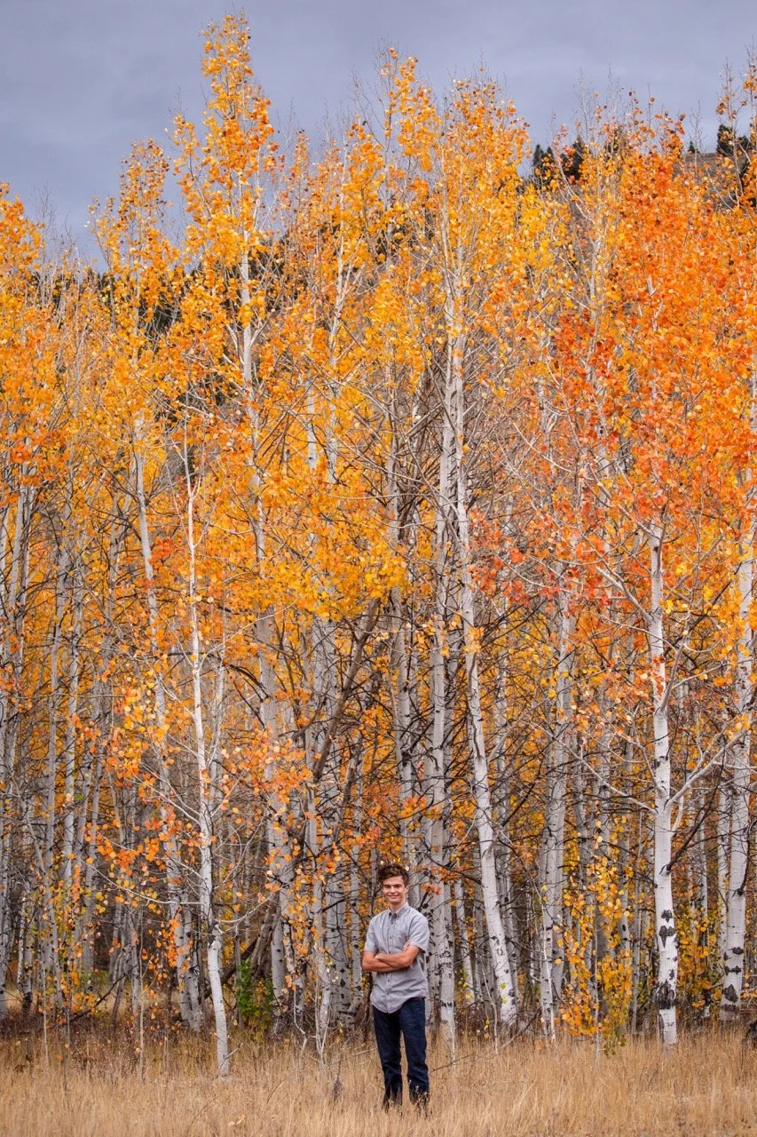 265A0421-2 Large.jpeg