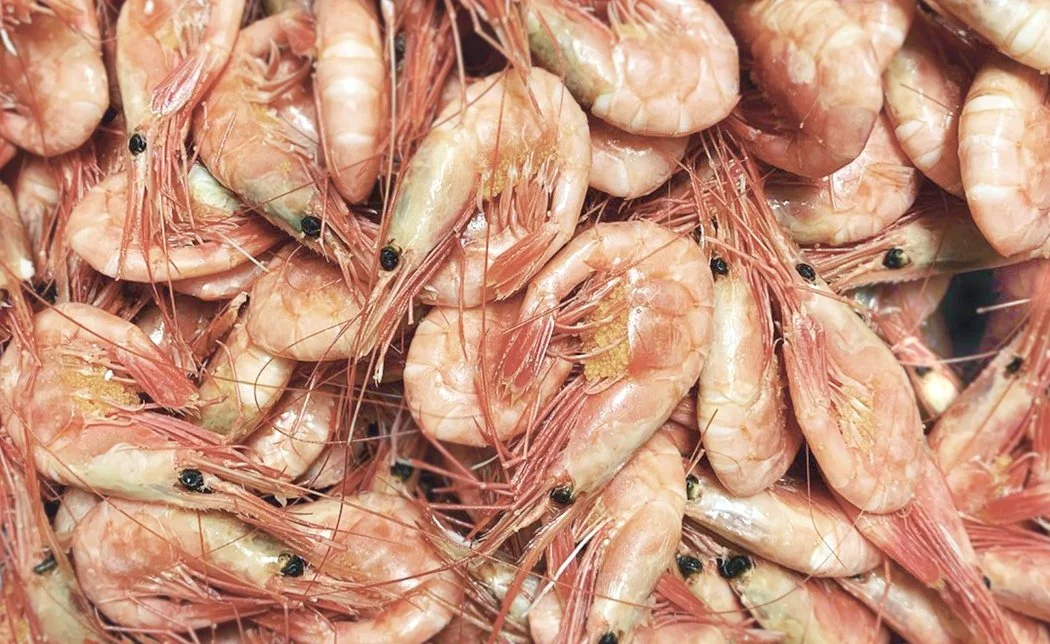Bakfickan_prawn_1050x644_150.jpg