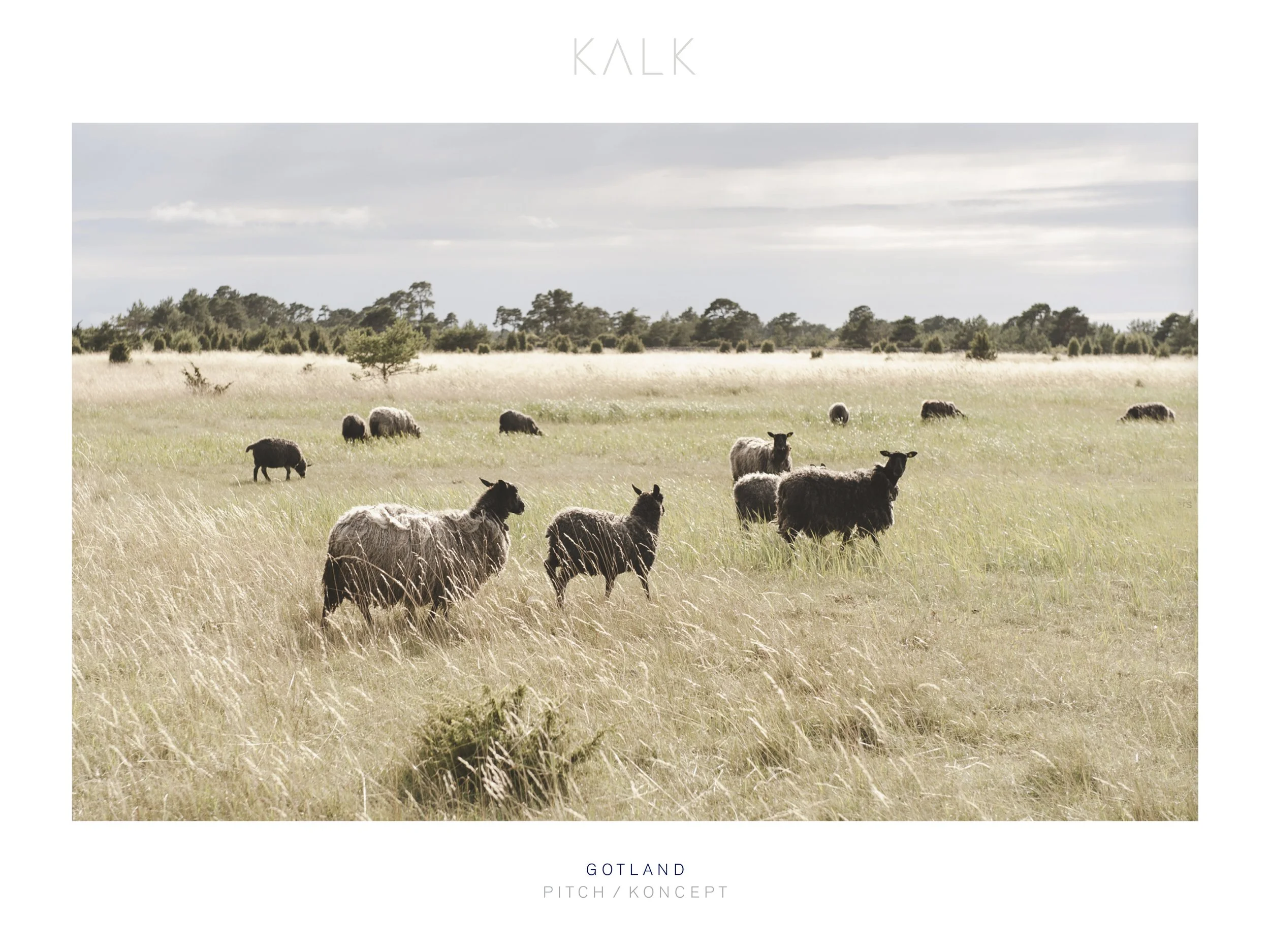 KALK_Pitch_SKAPE_Koncept.jpg