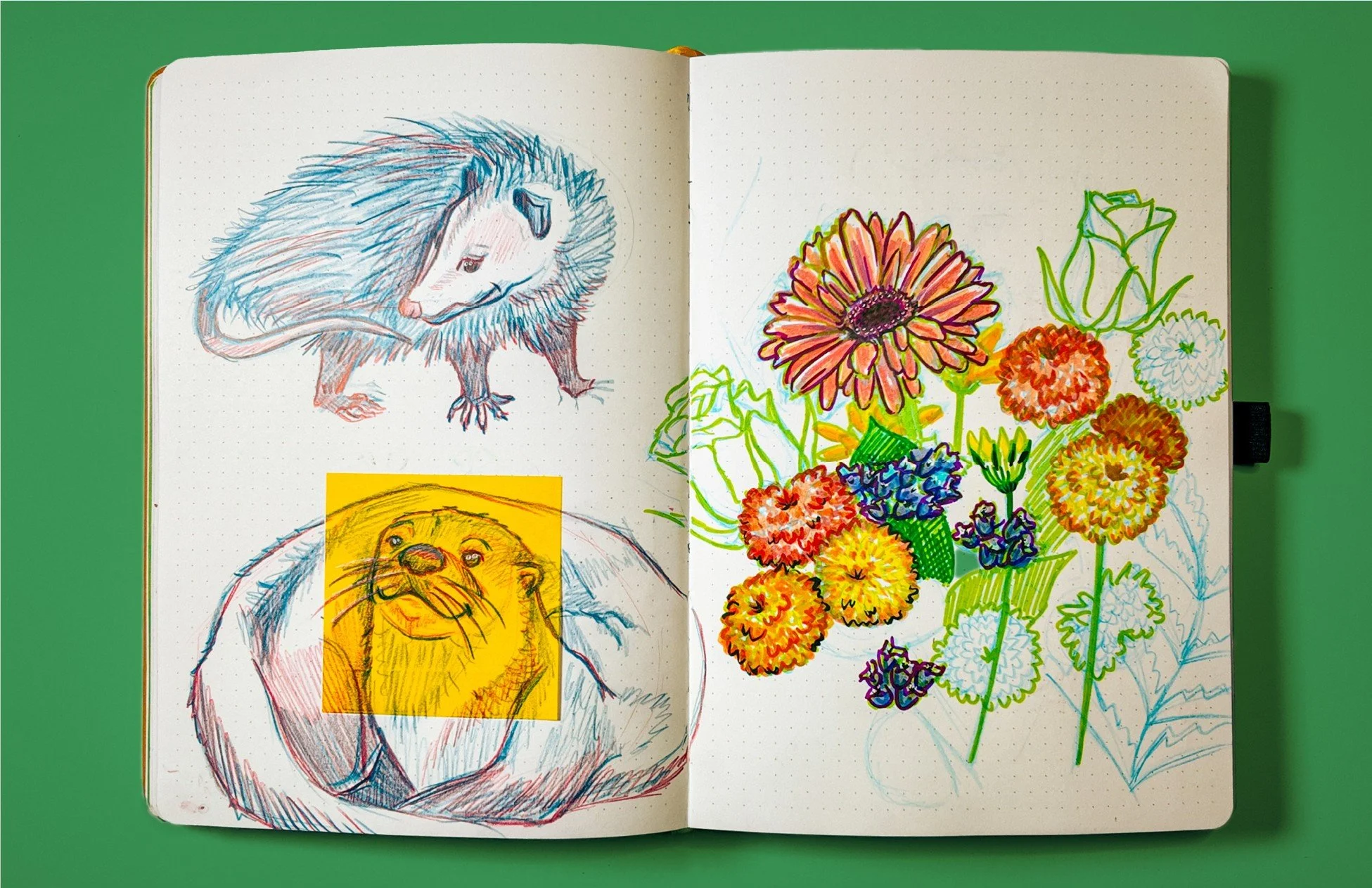 Sketchbook.jpg