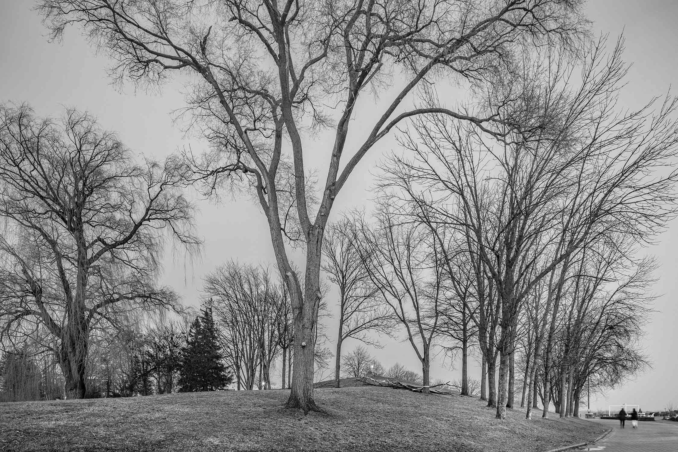 60a_MG_6722.jpg