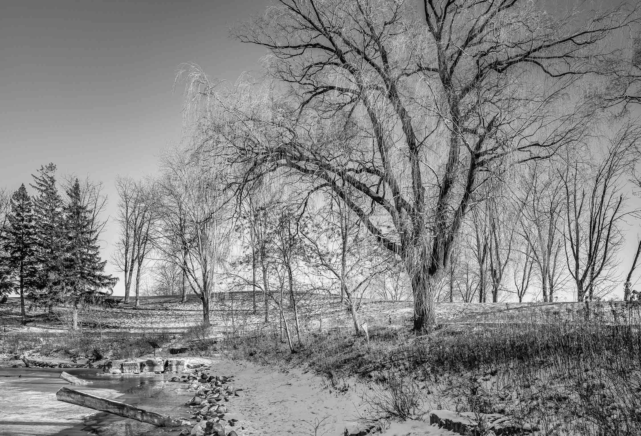 59_MG_6839.jpg