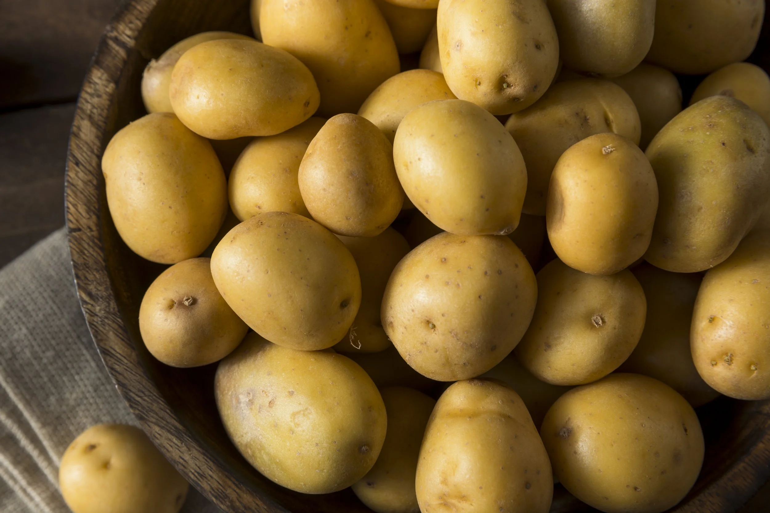 iStock-647805218.jpg