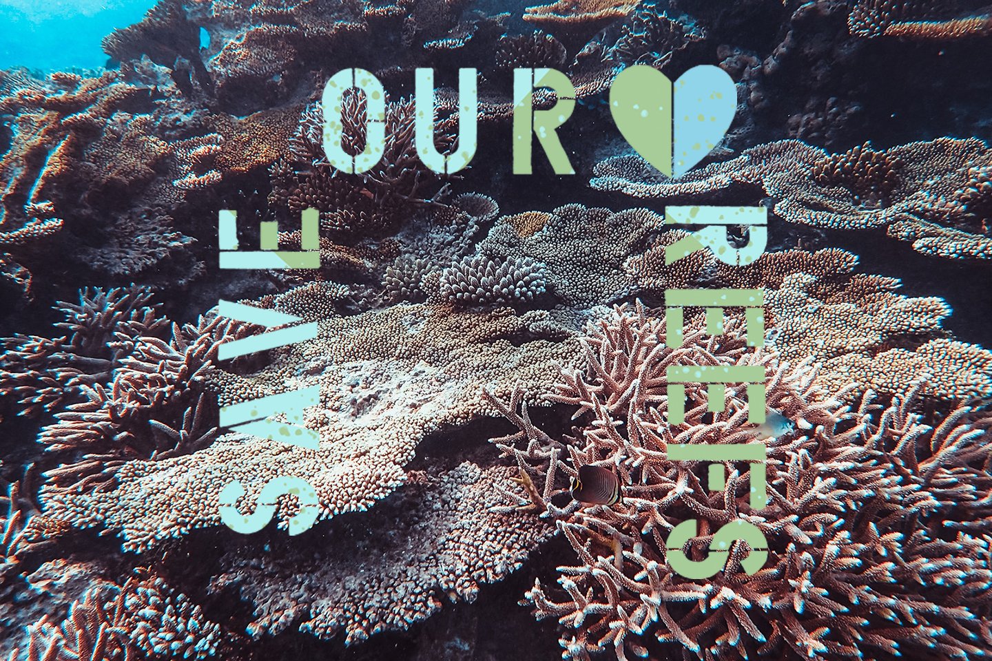save our reefs returns page2.jpg
