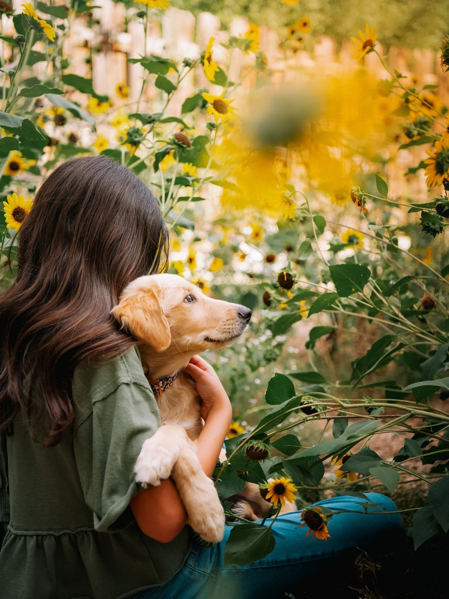 Meet our newest family member, Willow! To the person who abandoned her litter in the woods of Arkansas, know that her life will be filled with nothing but love and kindness from here on out. Here comes the sun little darling&hellip; here comes the su