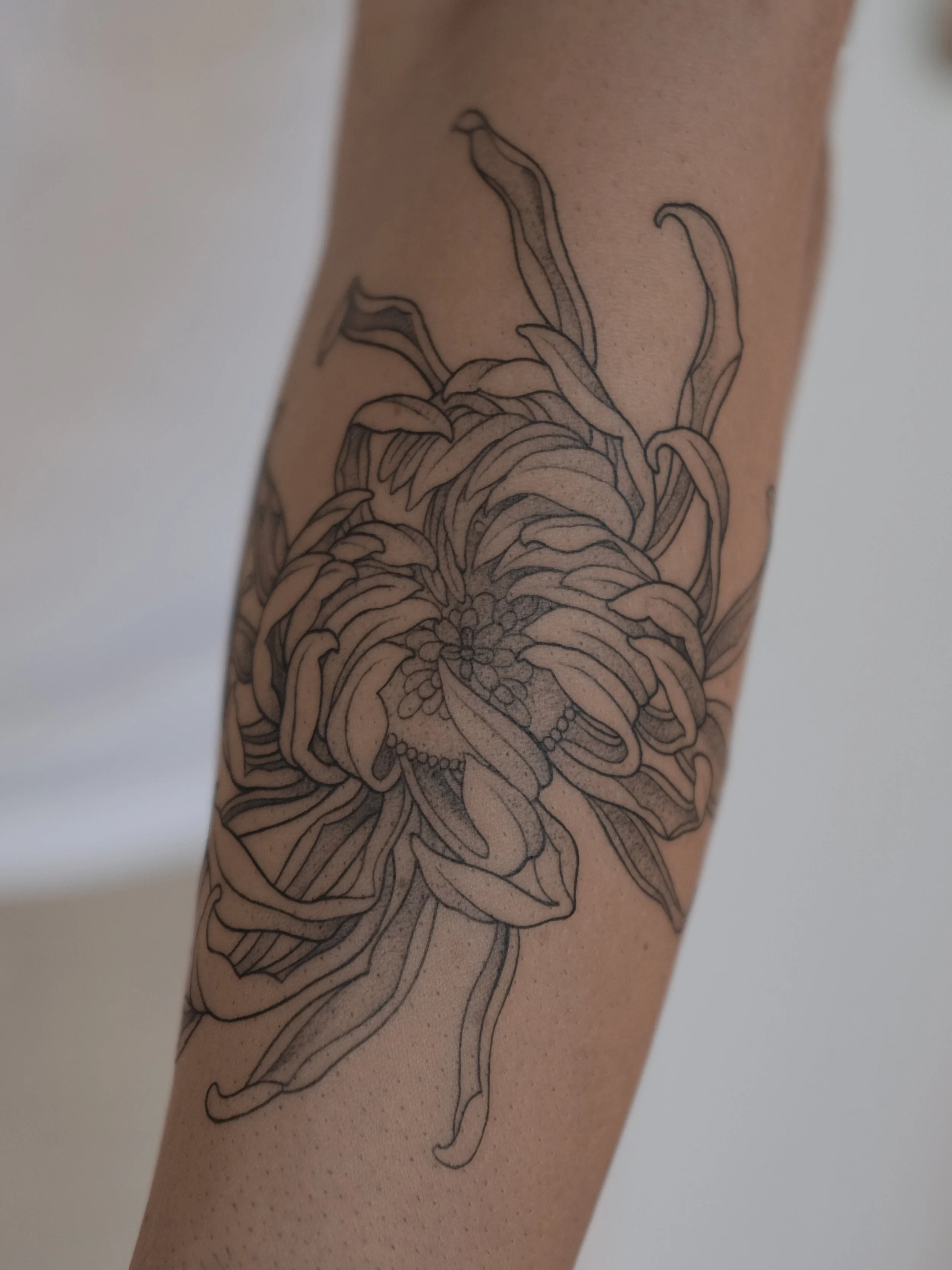 Line art tattoo of a flower on a person's arm.