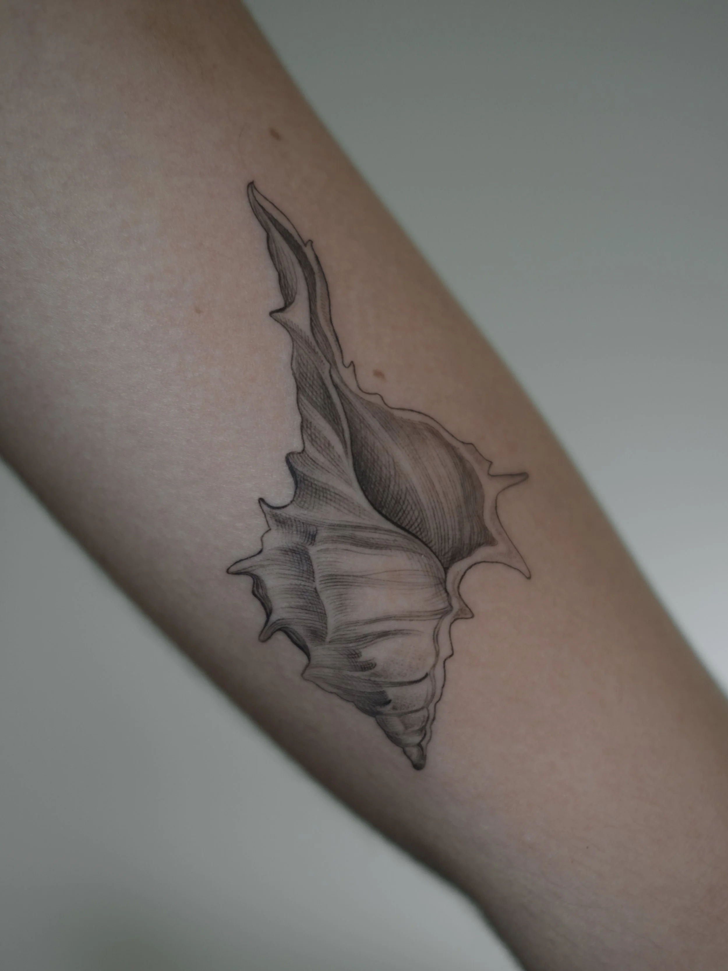 A tattoo of a pinecone on a person's arm.