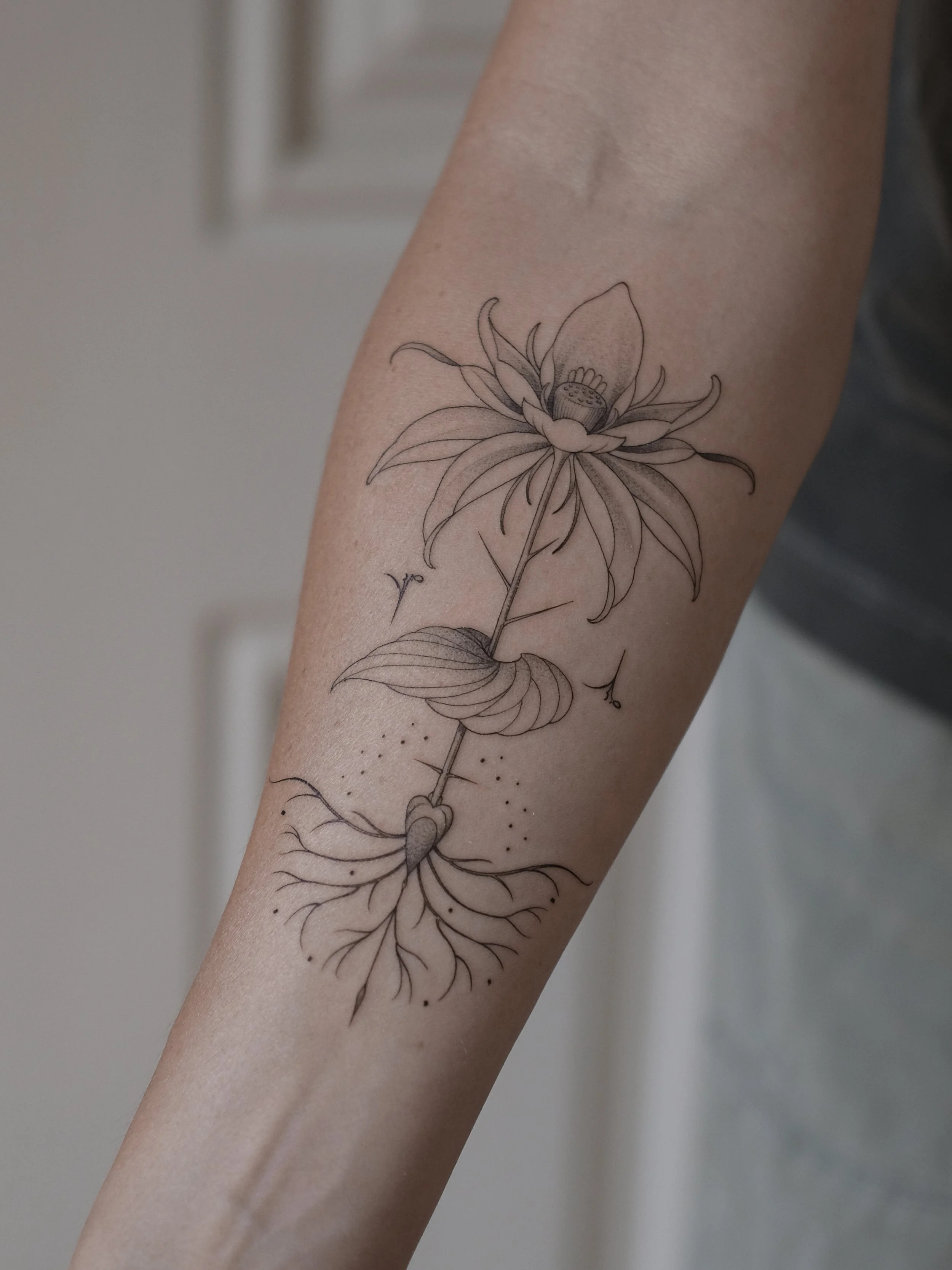 Black ink tattoo of a flower on a person's inner forearm, with detailed line work and elongated petals.