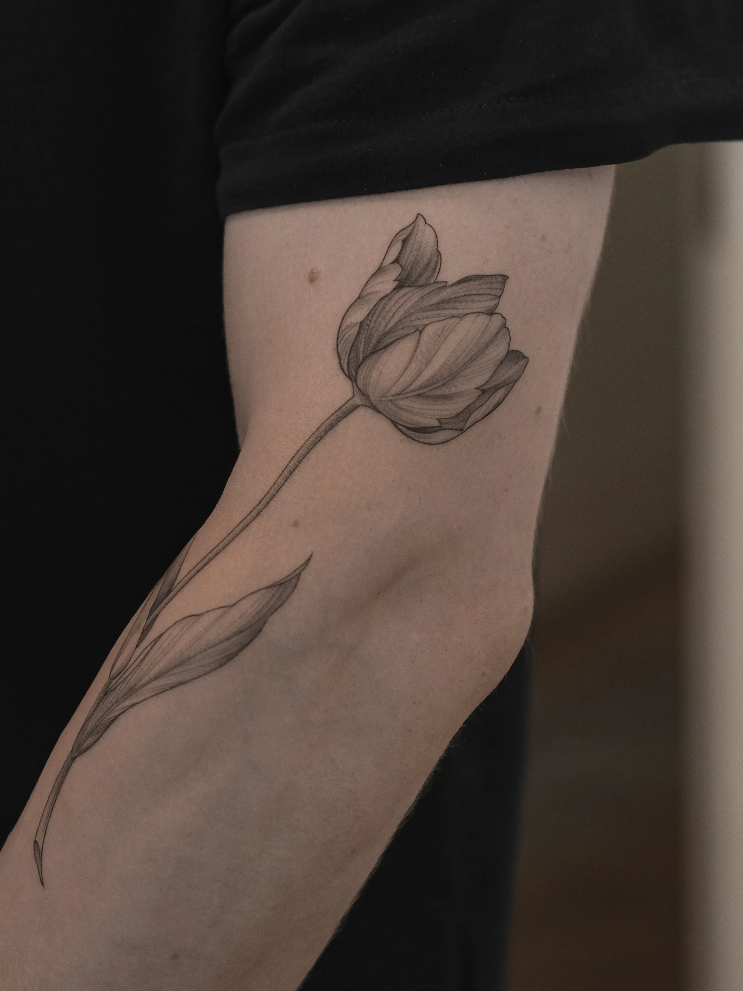 Black and white tattoo of a tulip flower on person's arm.