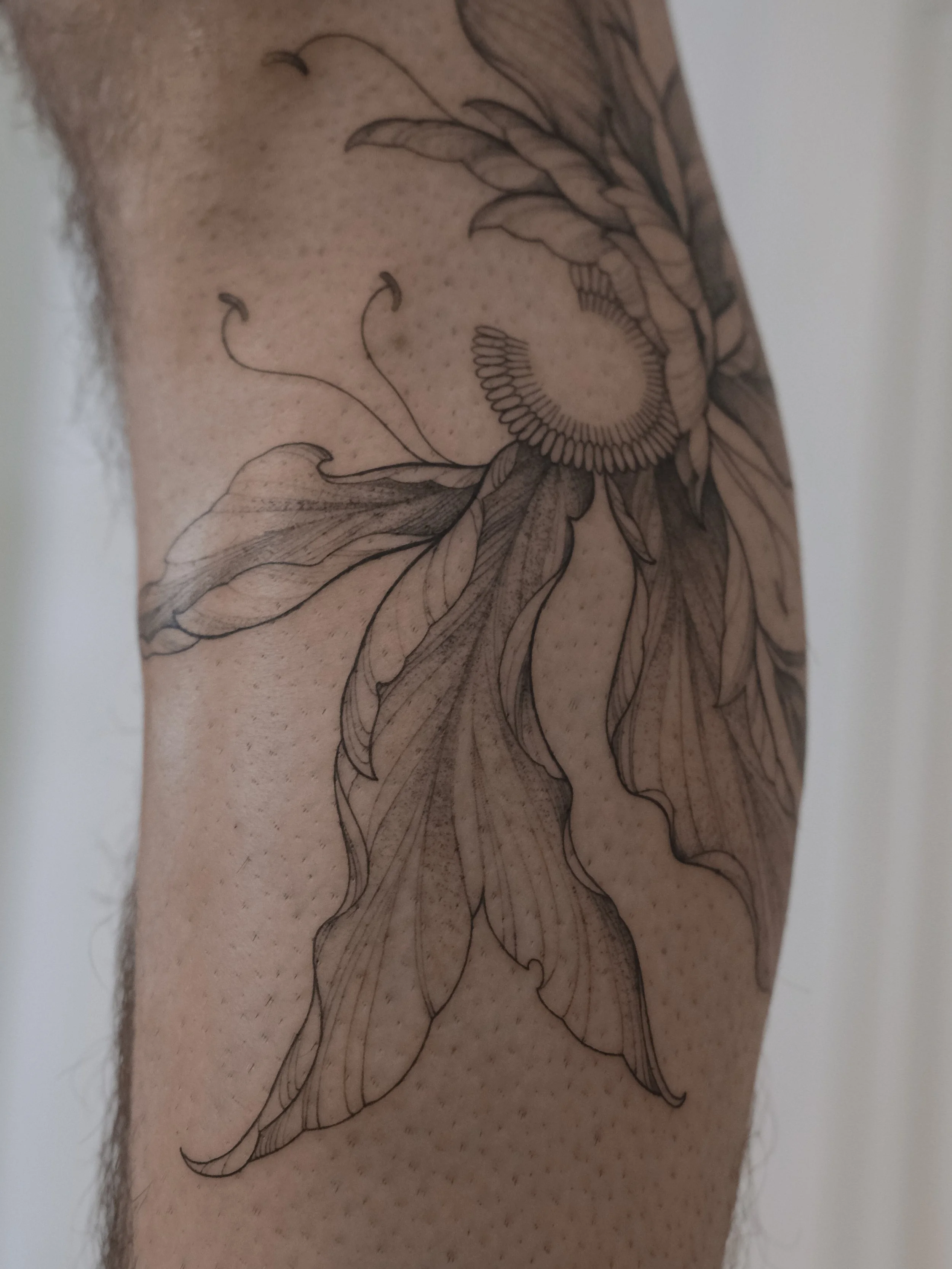 Black line drawing of a sunflower tattoo on skin.