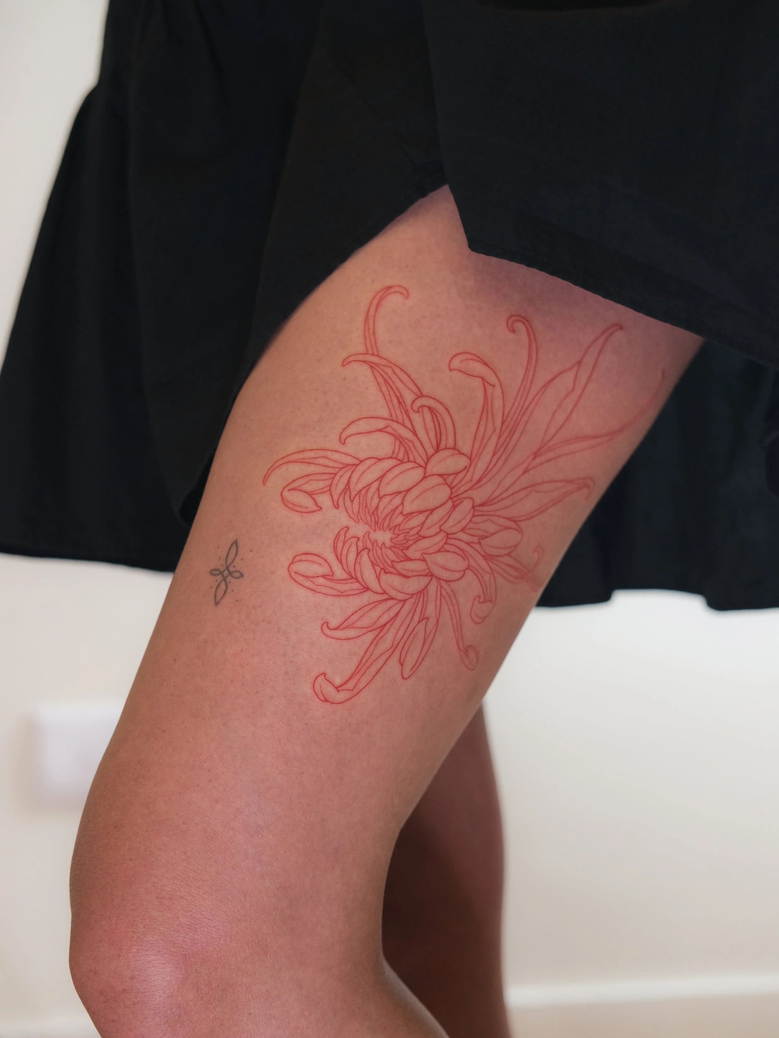 A person with a black shirt and black skirt showing their left arm with a red line art tattoo of a spider plant on their forearm.