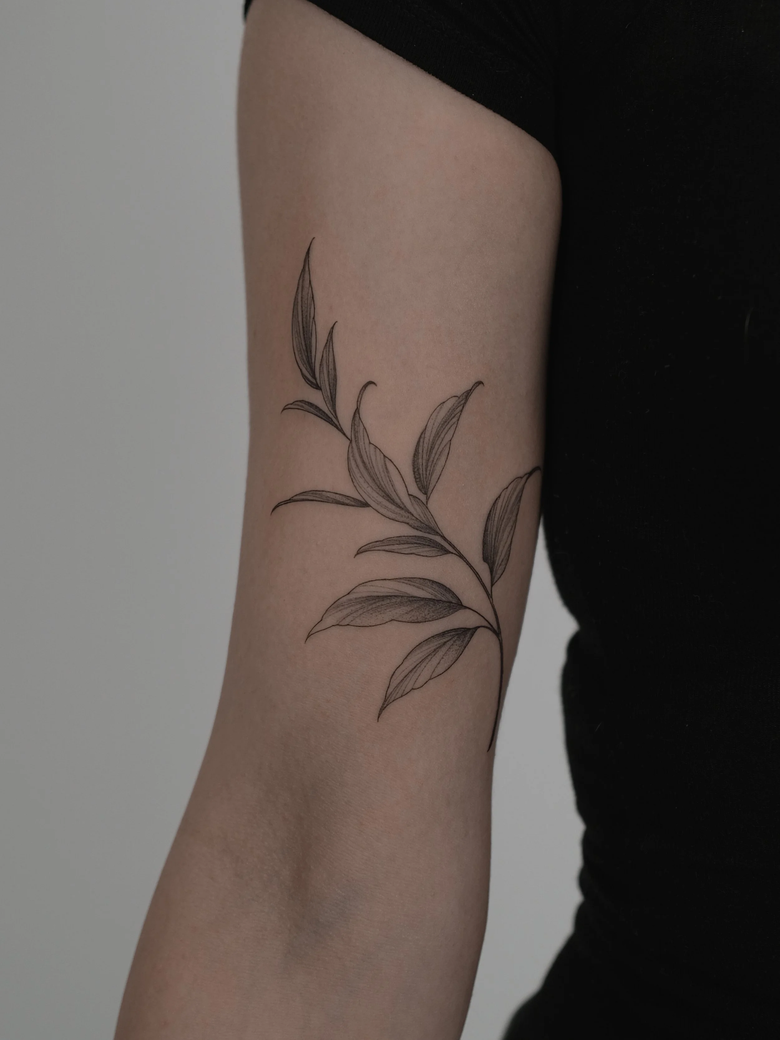 Close-up of a person's upper arm with a black line art tattoo of leaves.