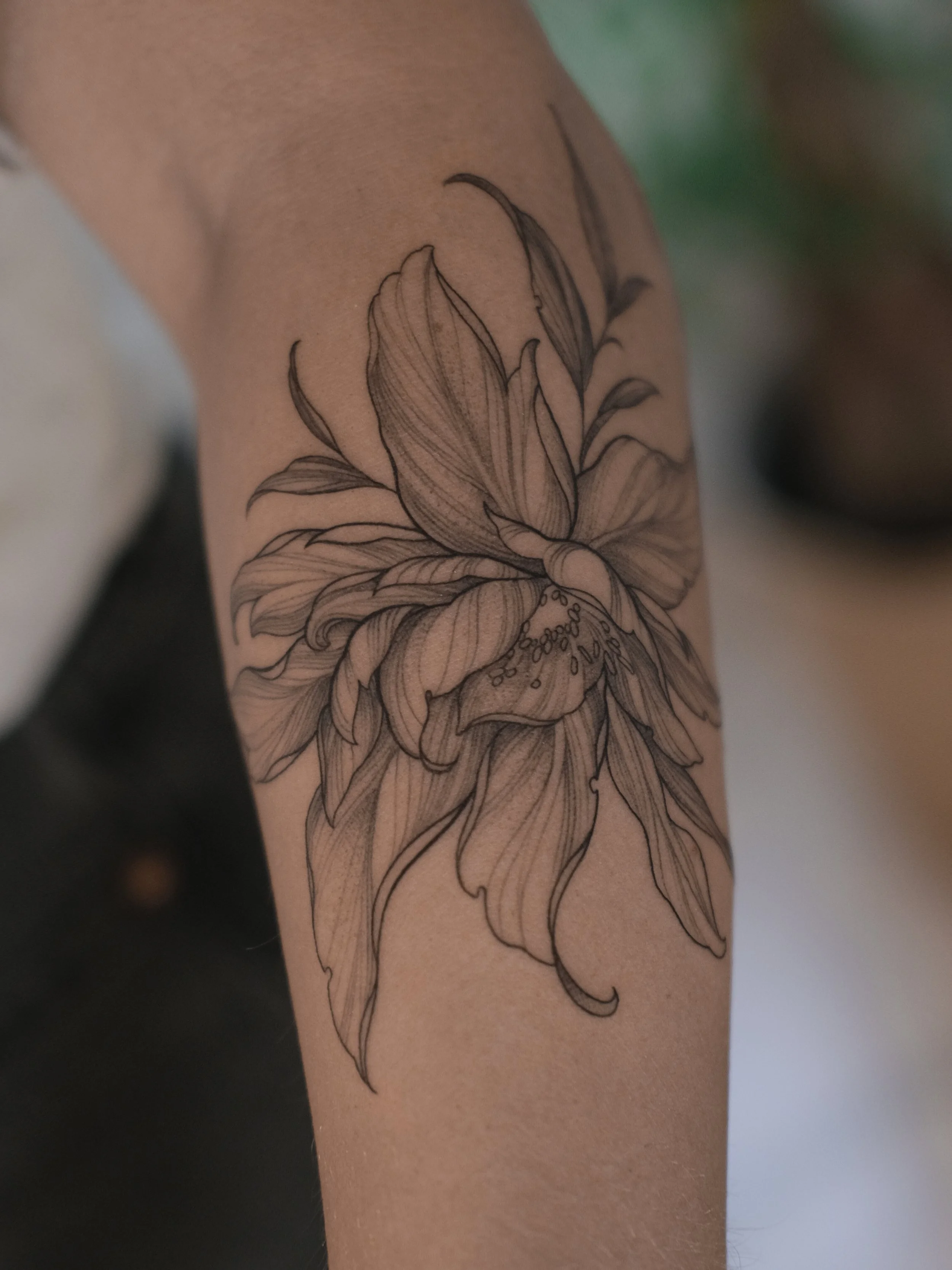 Line art tattoo of a open flower with detailed petals on a person's arm.