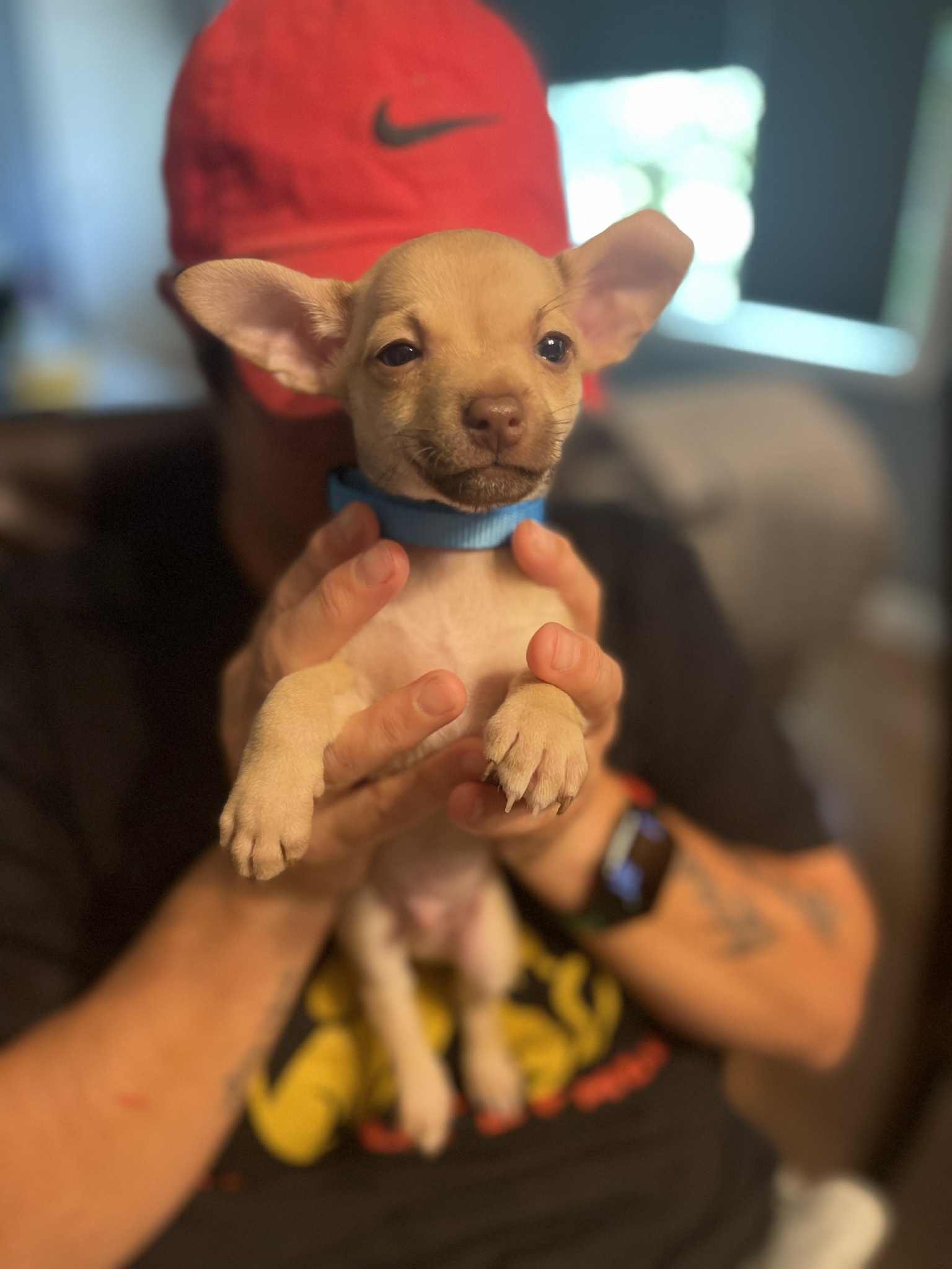 gus profile.jpg