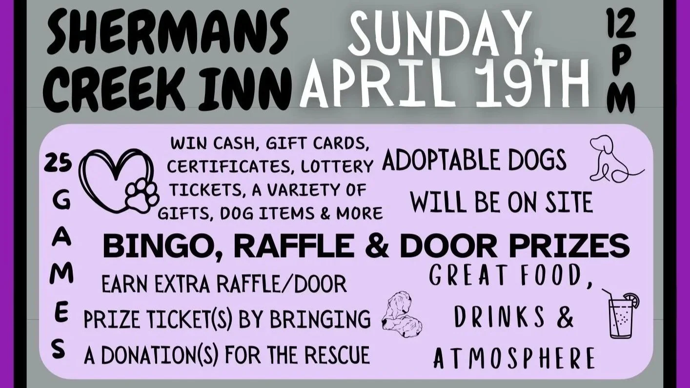 3rd Annual Paws for a Cause Bingo