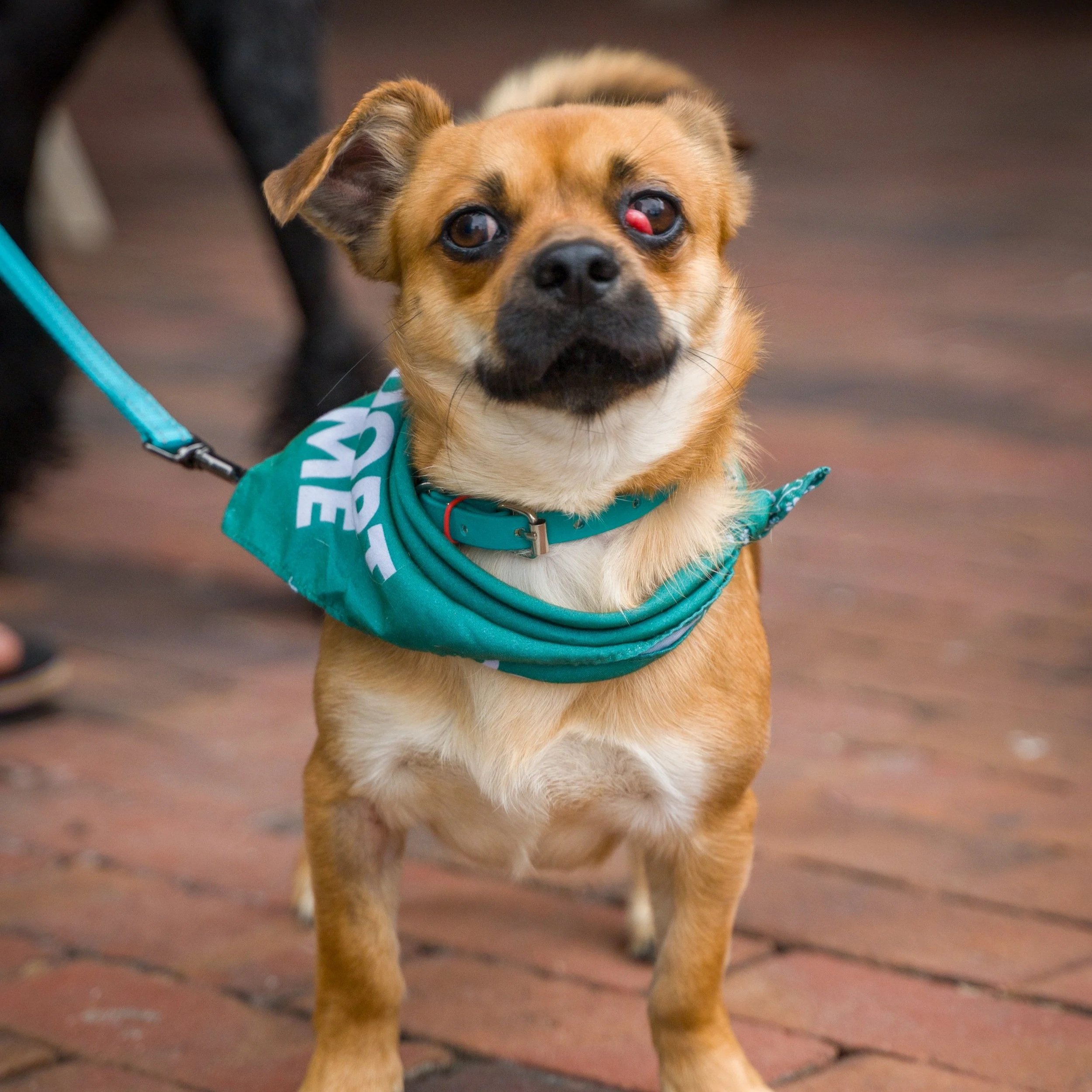beaufort+%284%29.jpg