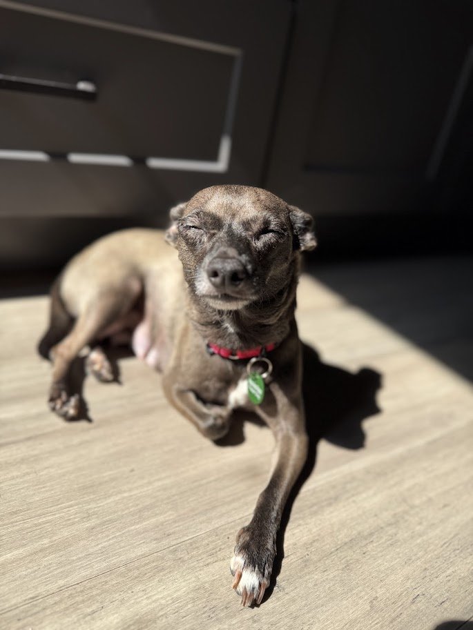 gigi eyes.jpg