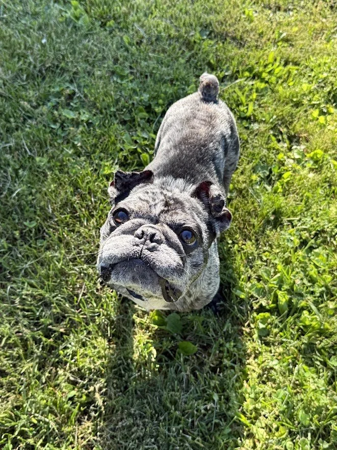 ernie profile.jpg