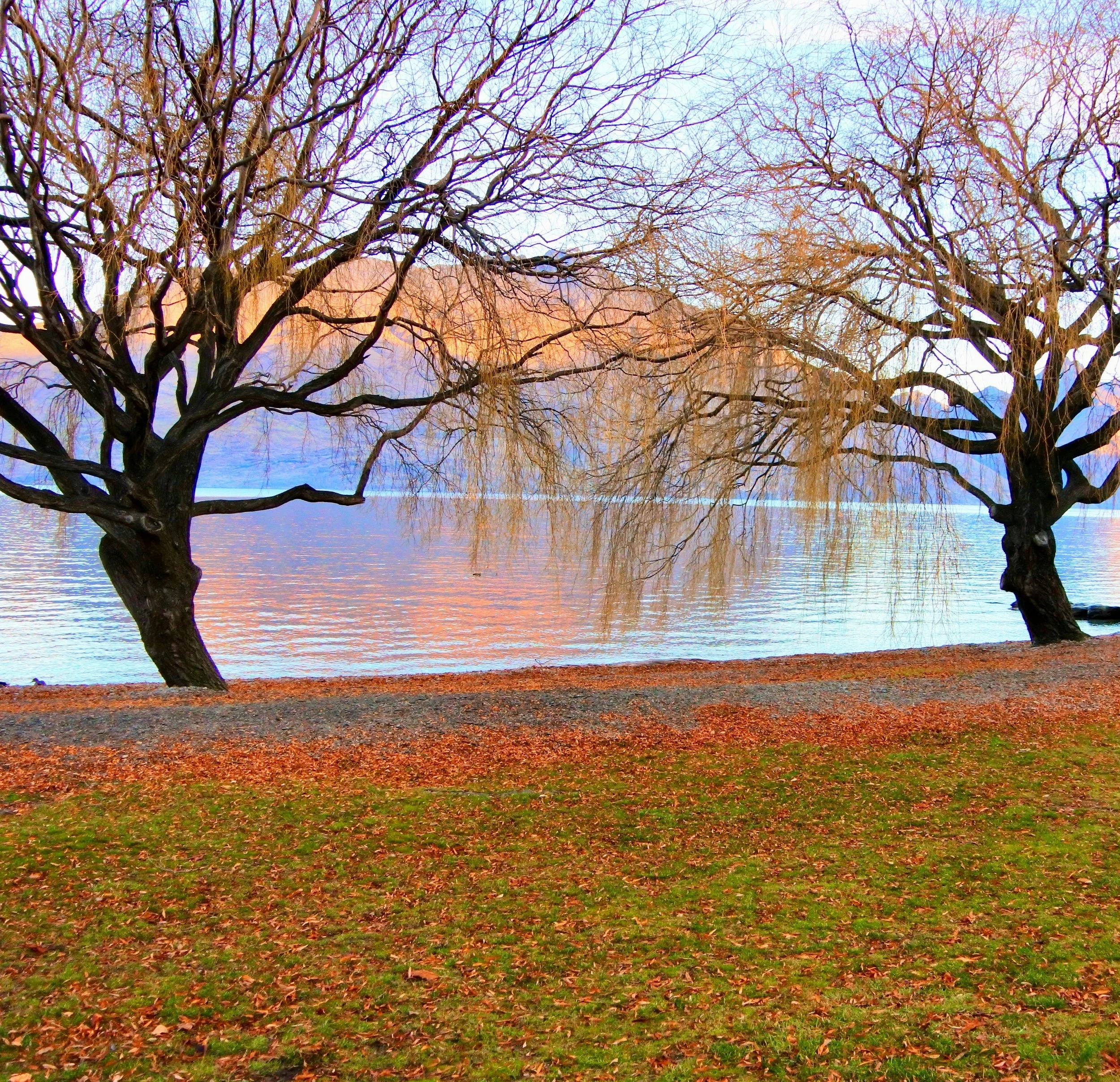 Autumn according to the Nei Jing