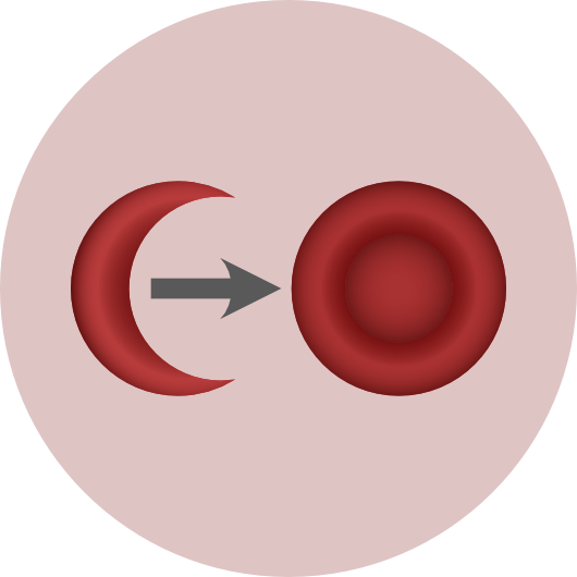 Global Cure SCD 2023