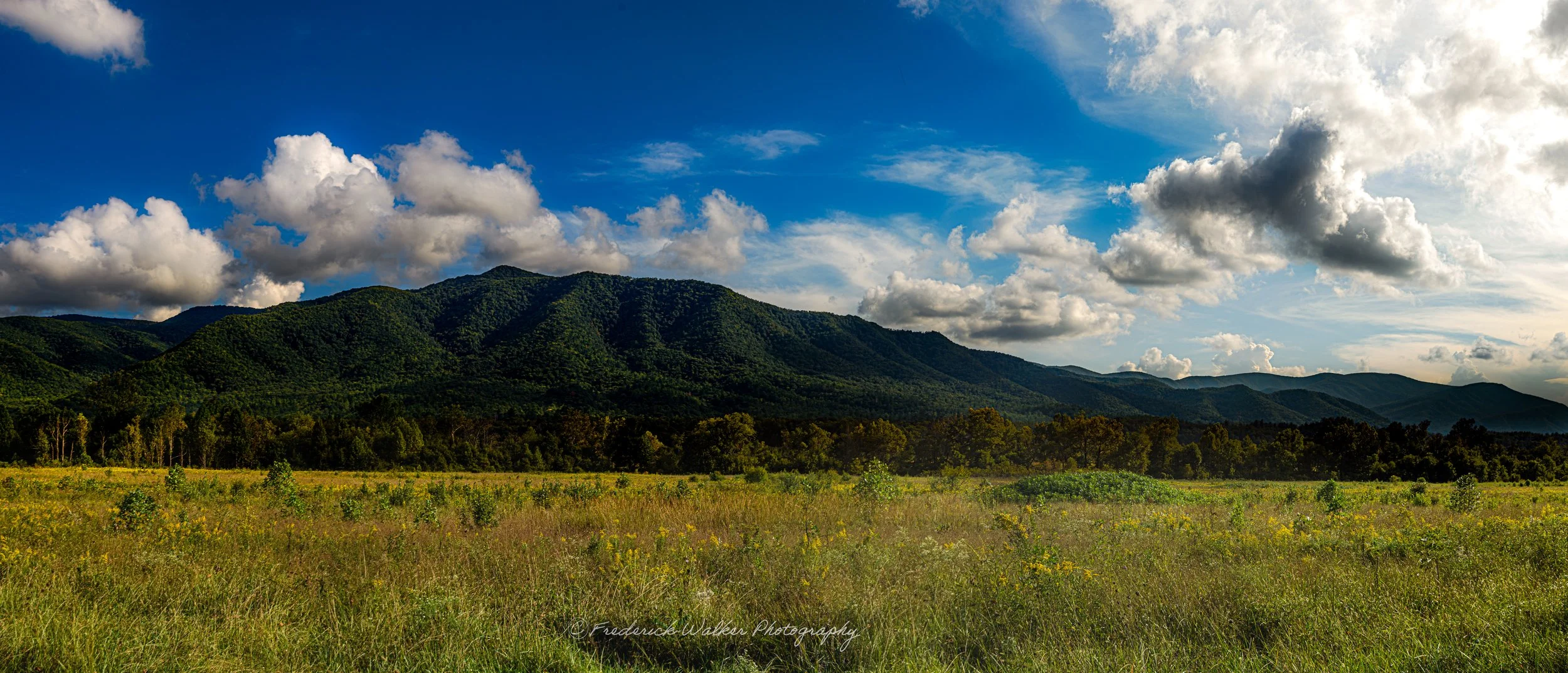 Valley-Cades Cove_DSC6400-Pano-WaterMark.jpg