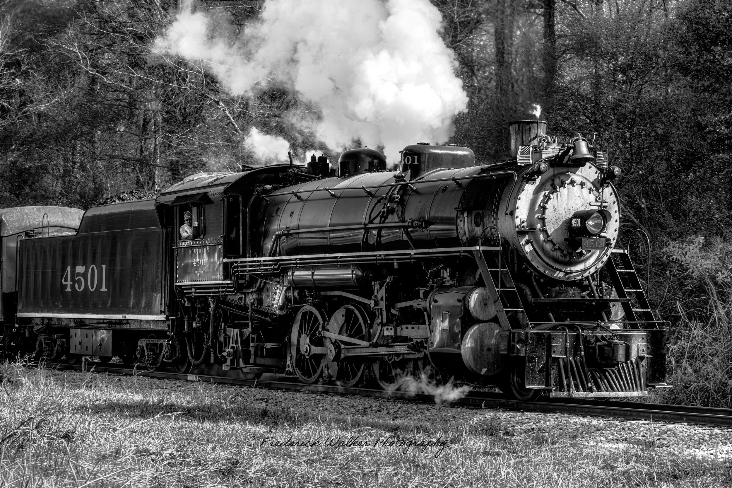 Southern 4501 (Black Livery)_DSC2830-WaterMark.jpg