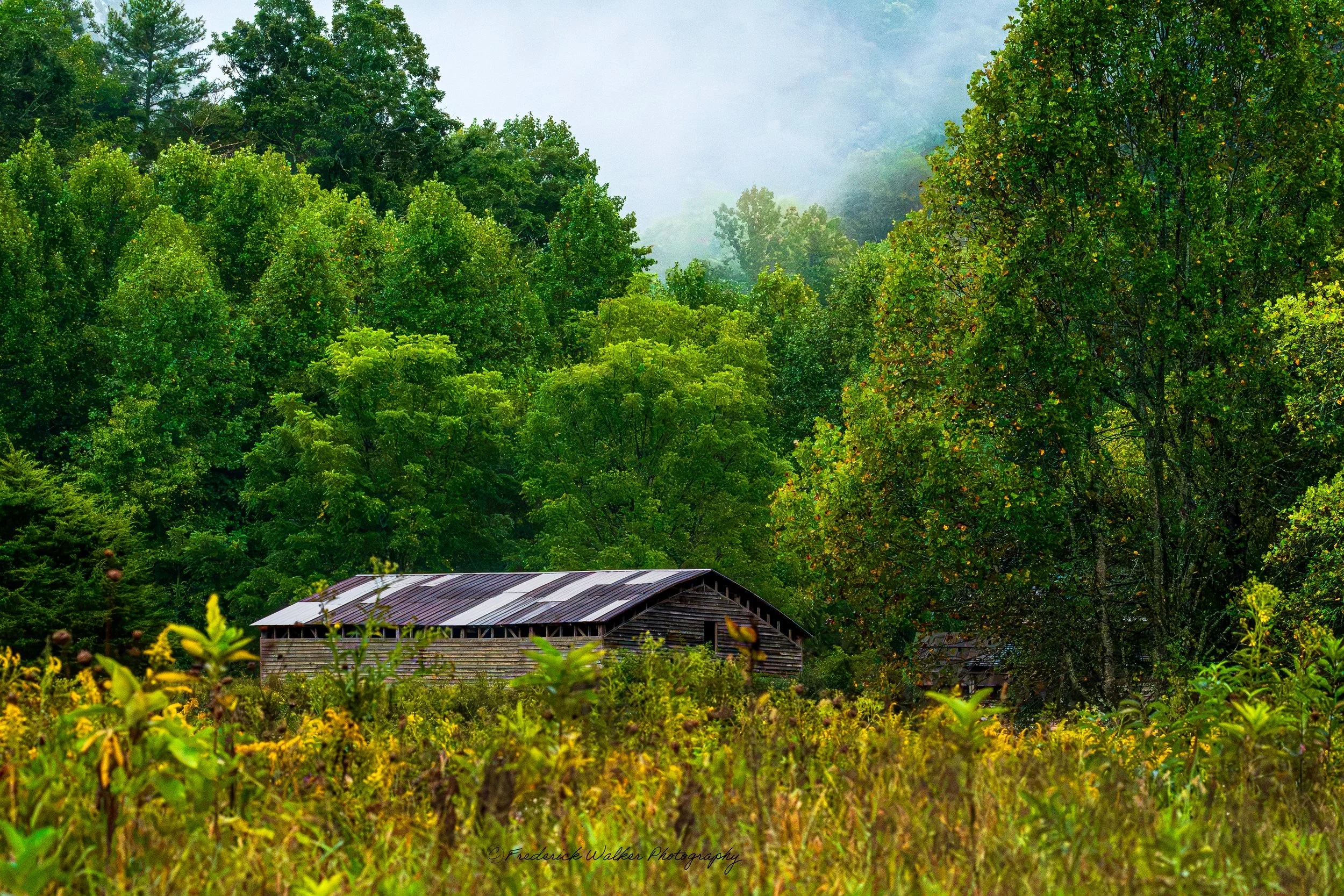 Barn at Tipton Place Fine Art Print - Cades Cove, Great Smoky Mountains