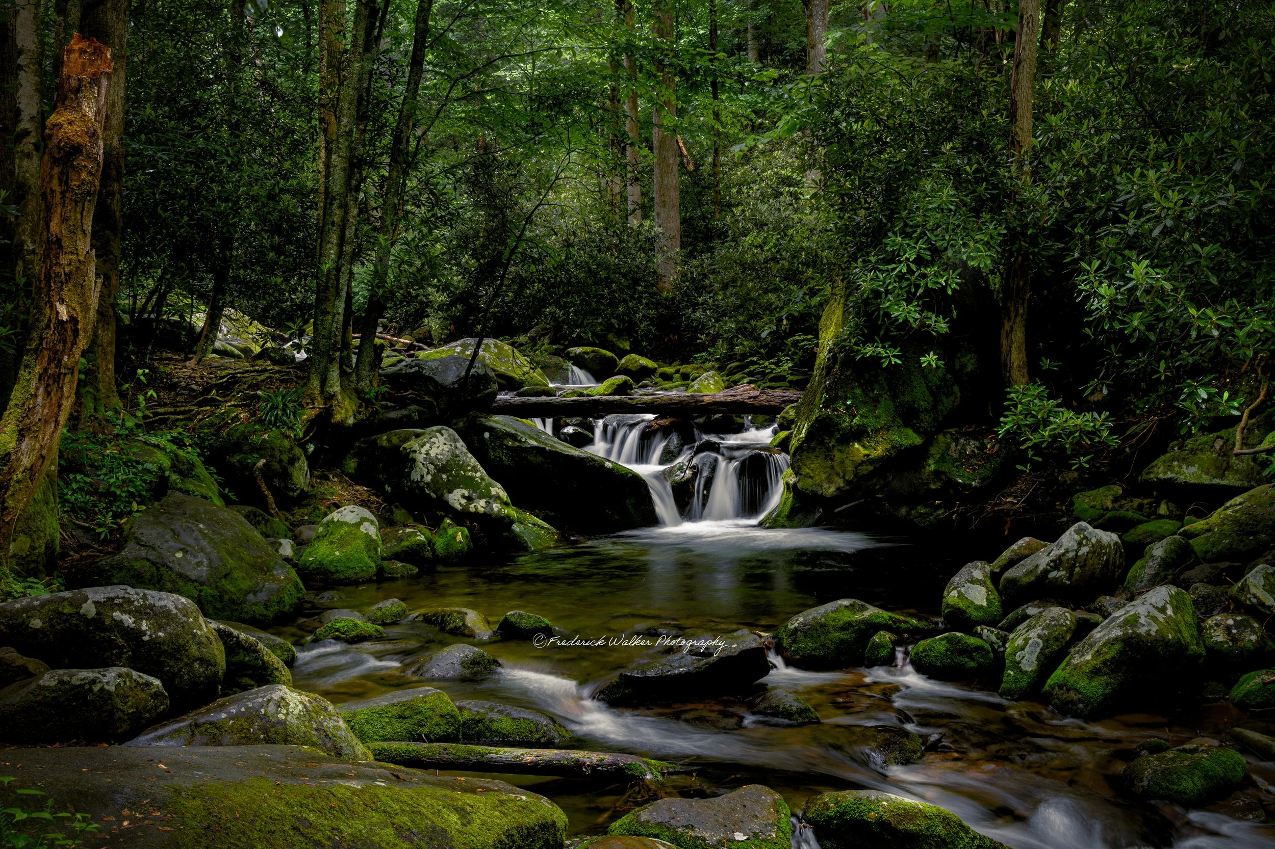 Cascade Roaring Fork Motor Nature Trail, Great Smoky Mountains National Park.
