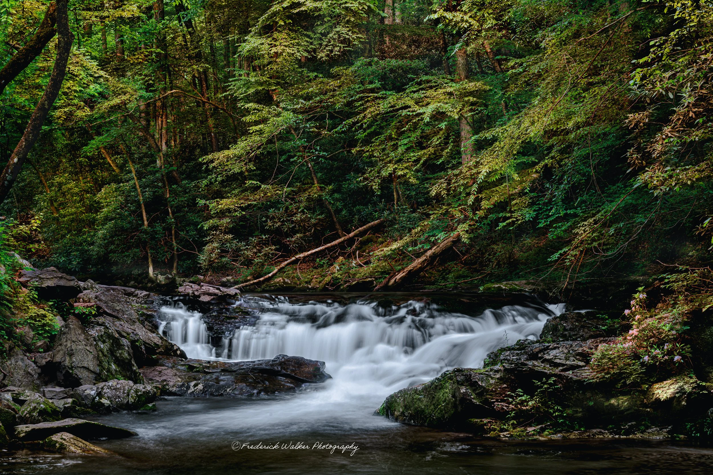 Laurel Creek Cascades, Townsend, Tennessee, Great Smoky Mountains National Park.