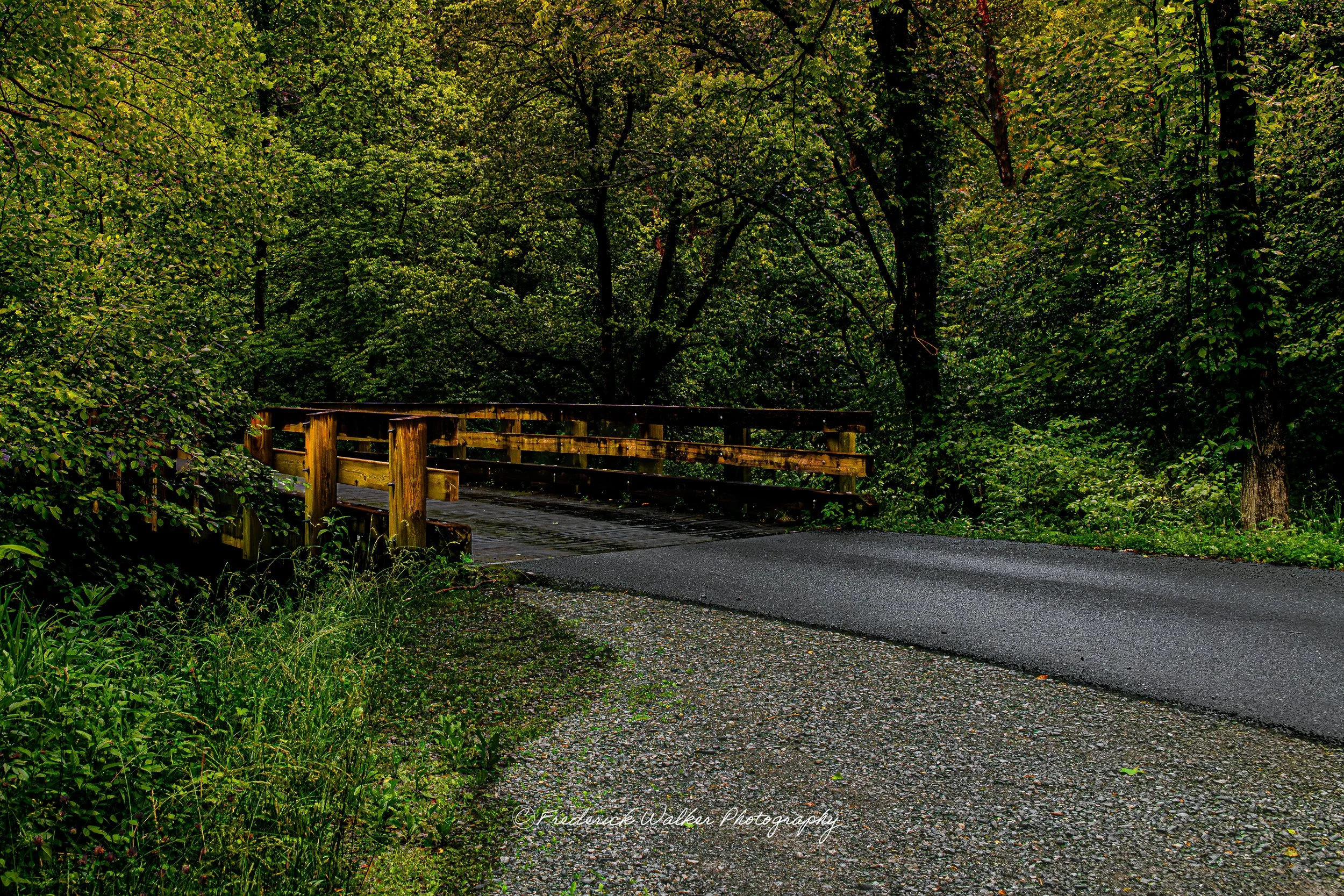 Serenity of Cade Cove Bridge Art Print