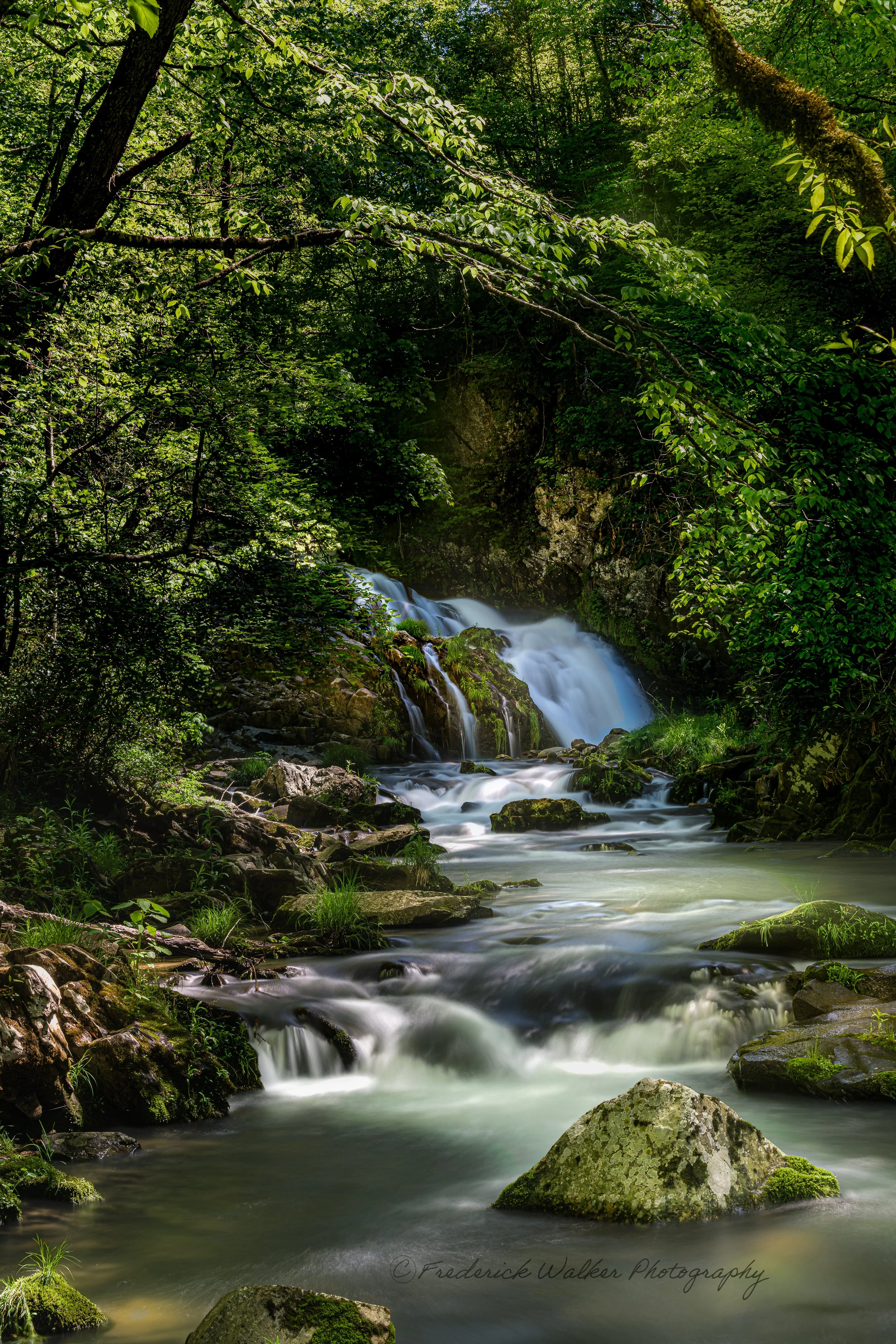 White Oak Falls_DSC5629-WaterMark.jpg