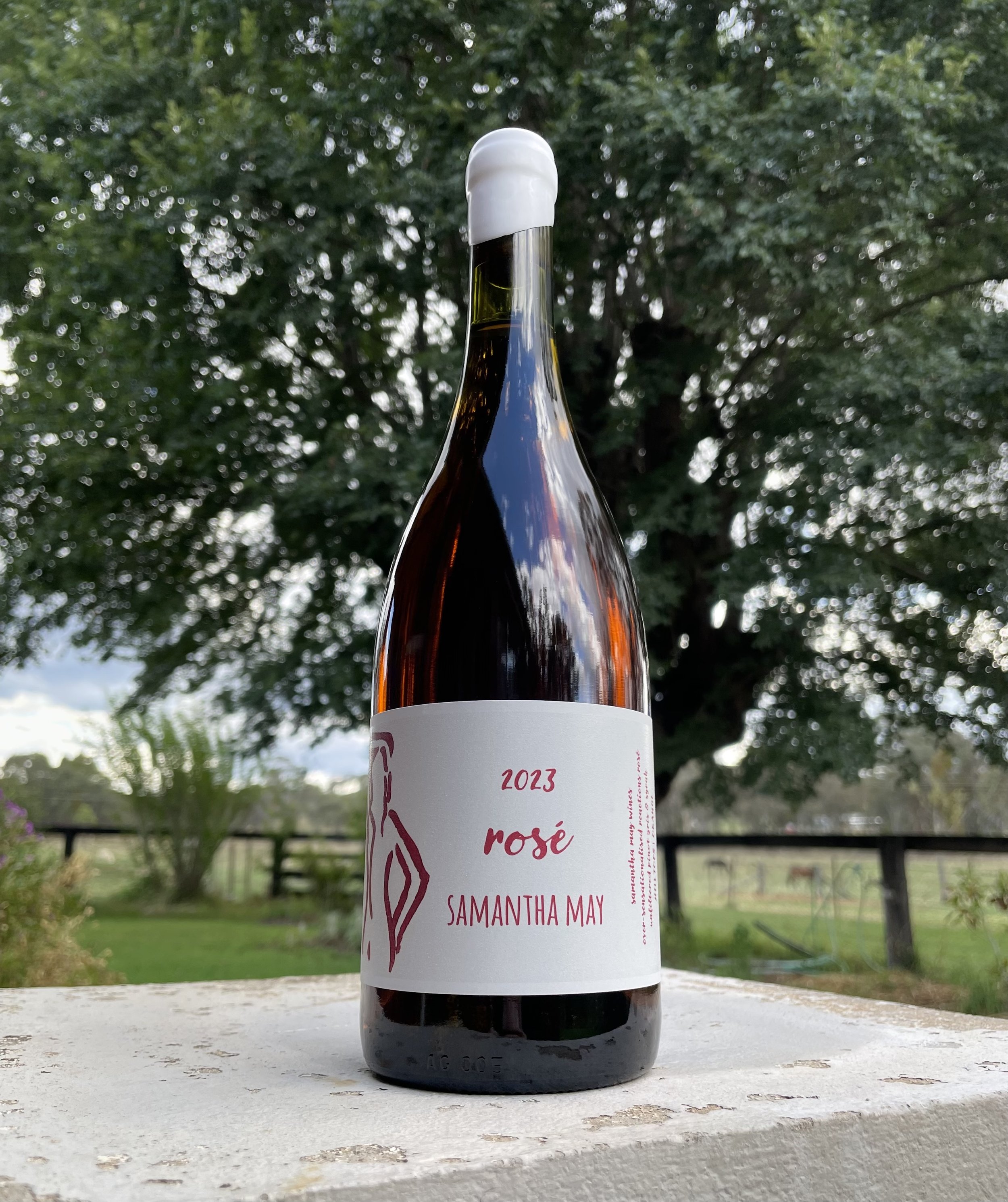 2023 Rosé