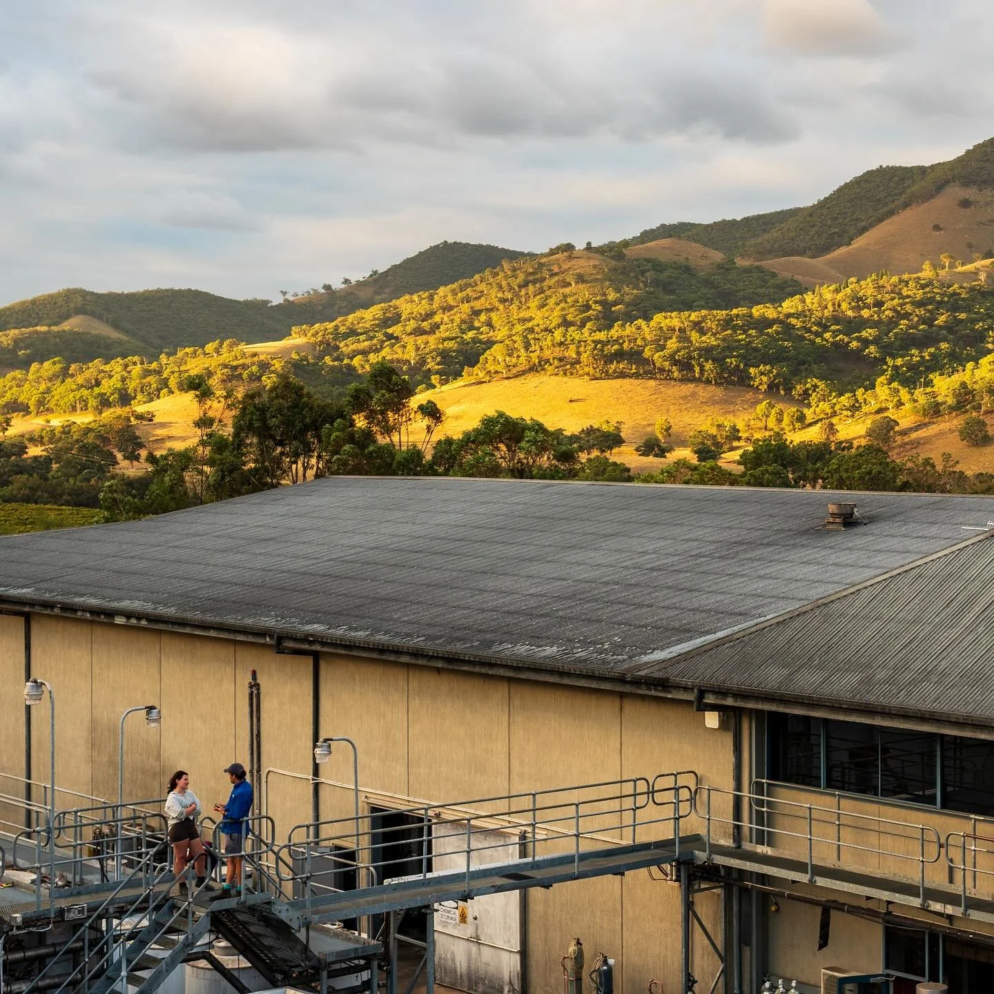 The winery. It might feel like a jungle at times but it&rsquo;s also home. How lucky am I to do what I do. Epic picture by @erickofhurtado with my friend @willggilbert