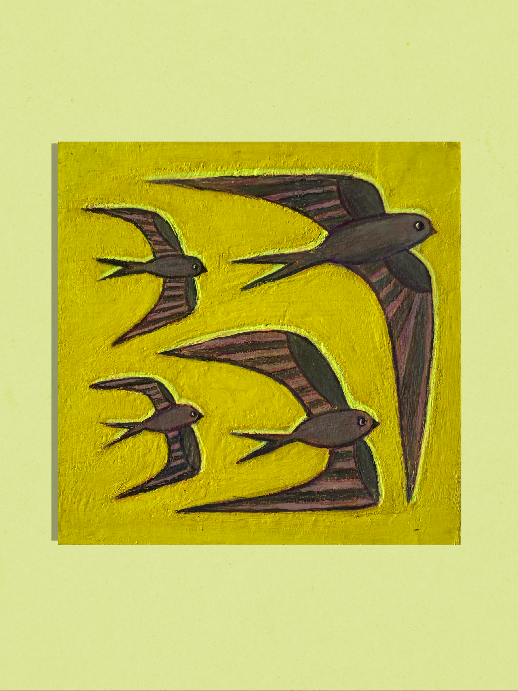 Rayyan Merrill Swifts.PNG