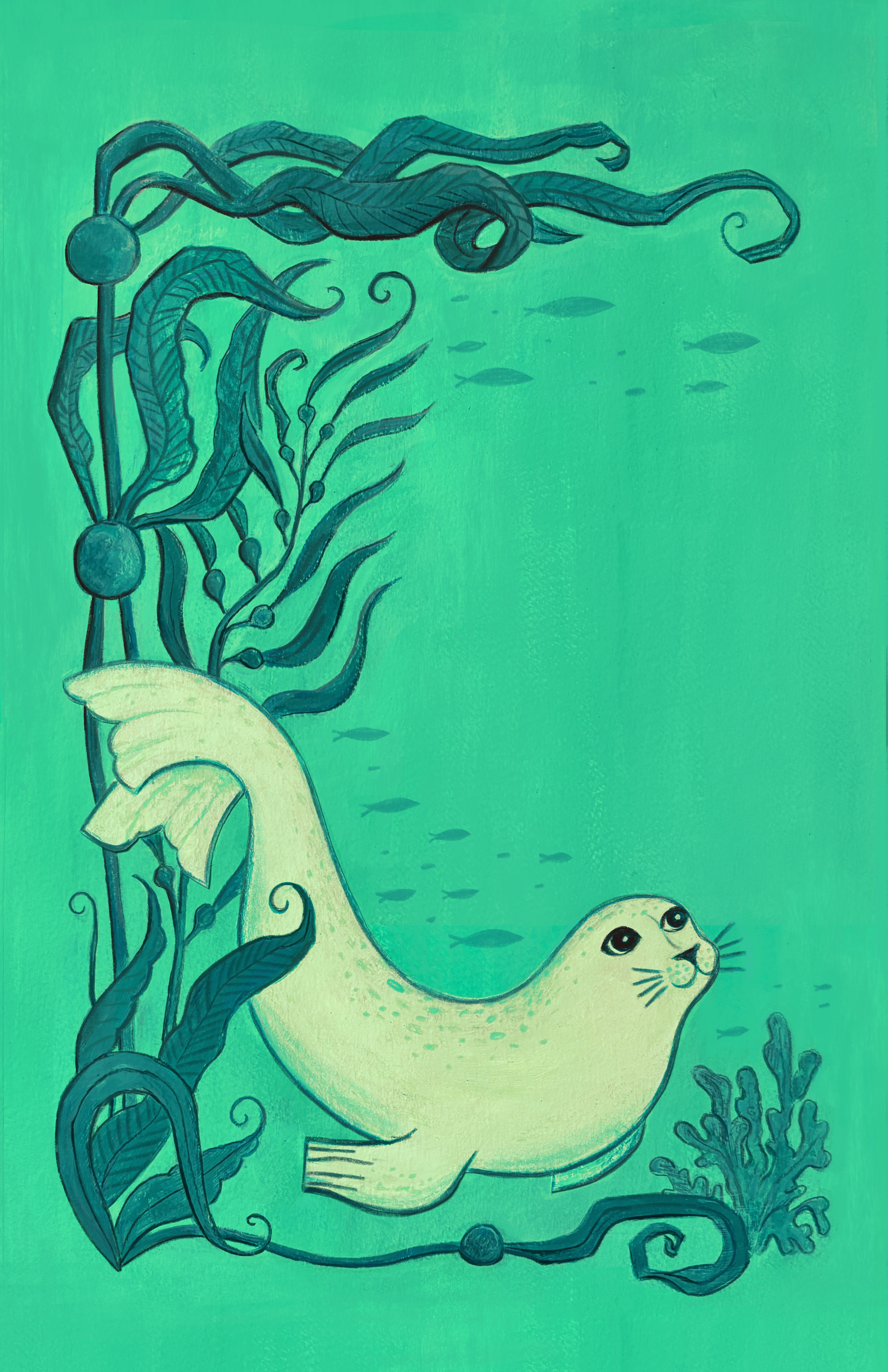 Harbour Seal Rayyan Merrill2026.png