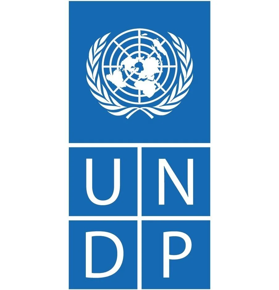 UNDP-Logo-Blue-Large.jpg