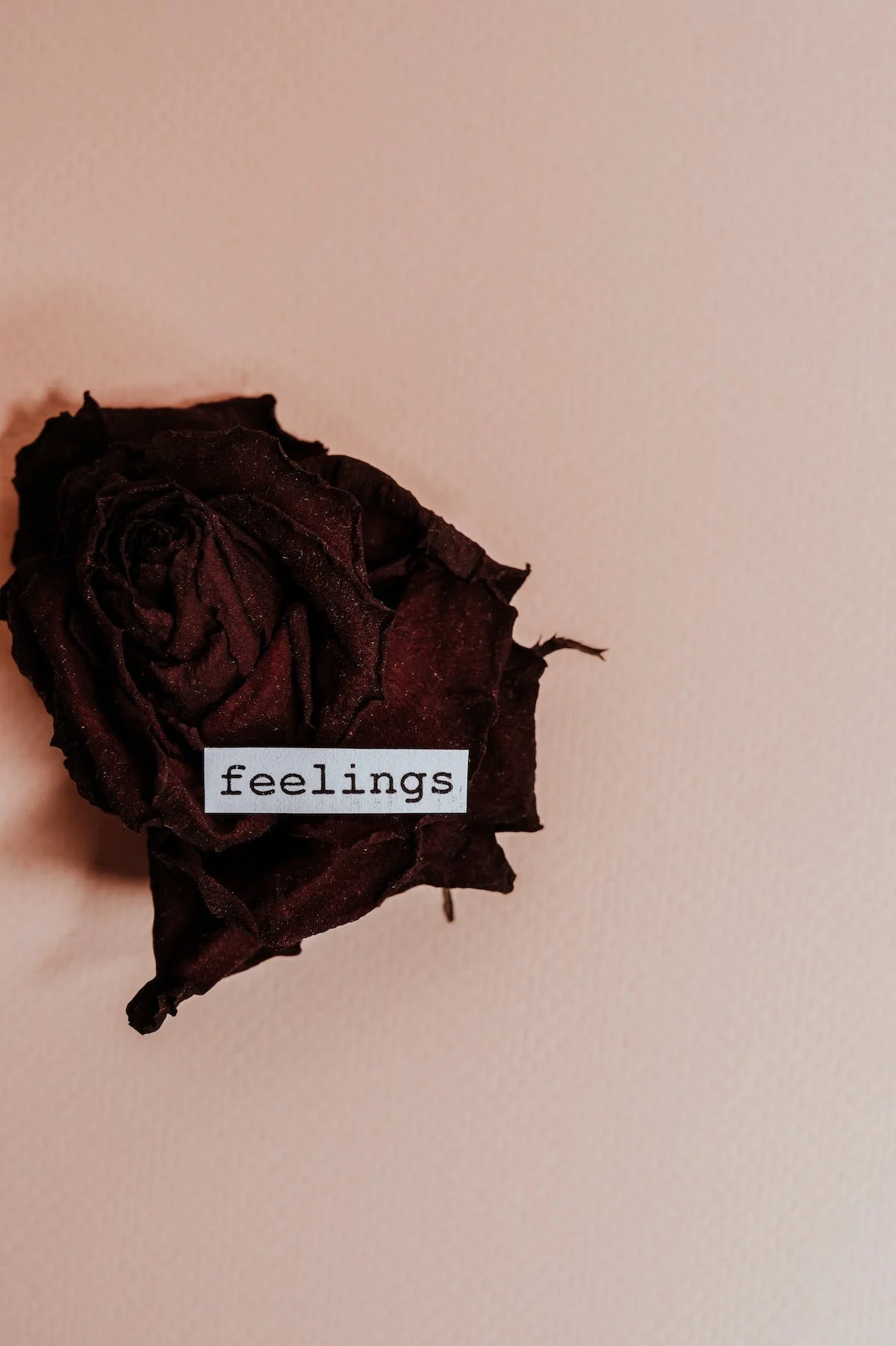 Image via  Pexels  