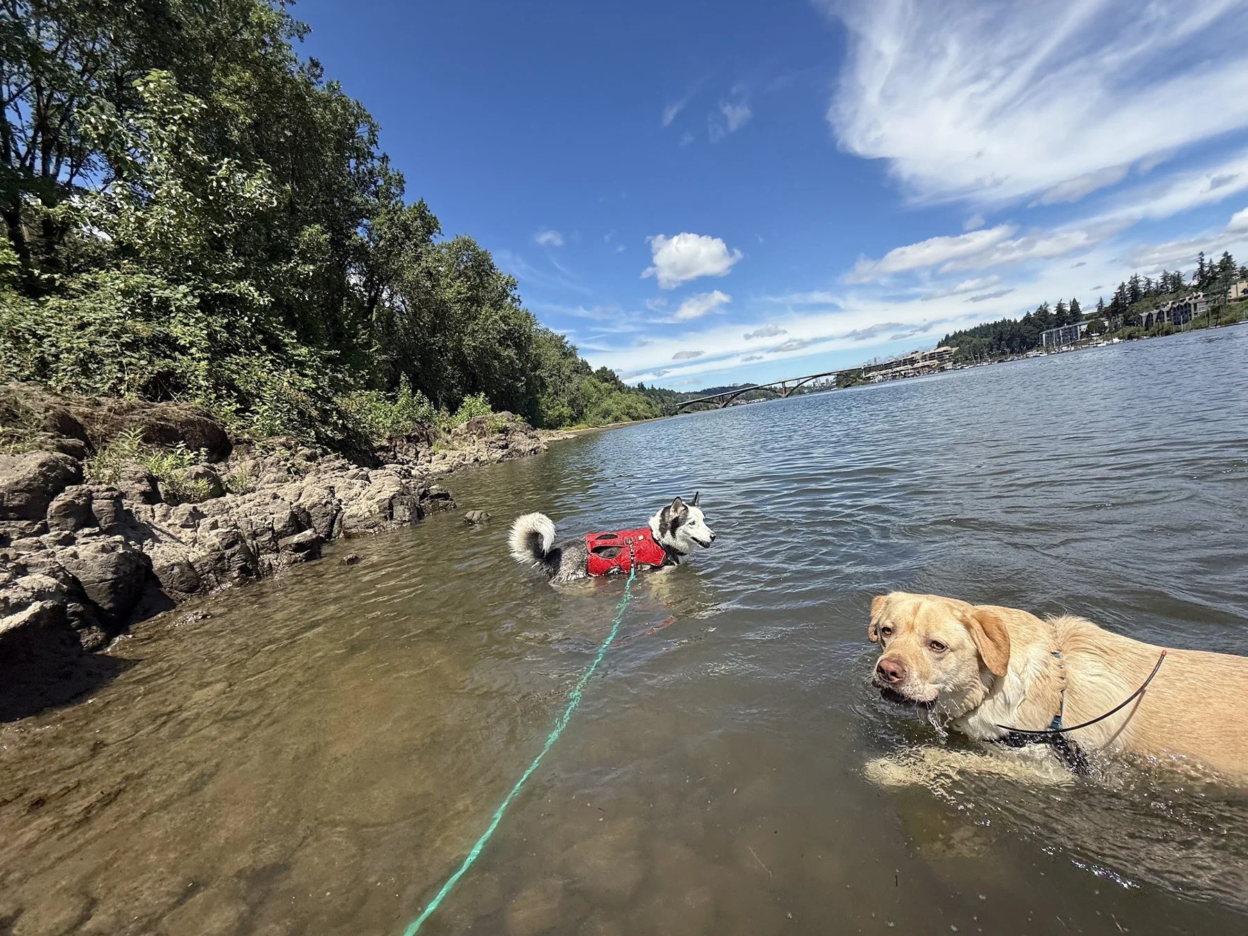 Dina swimming in the river during an adventure