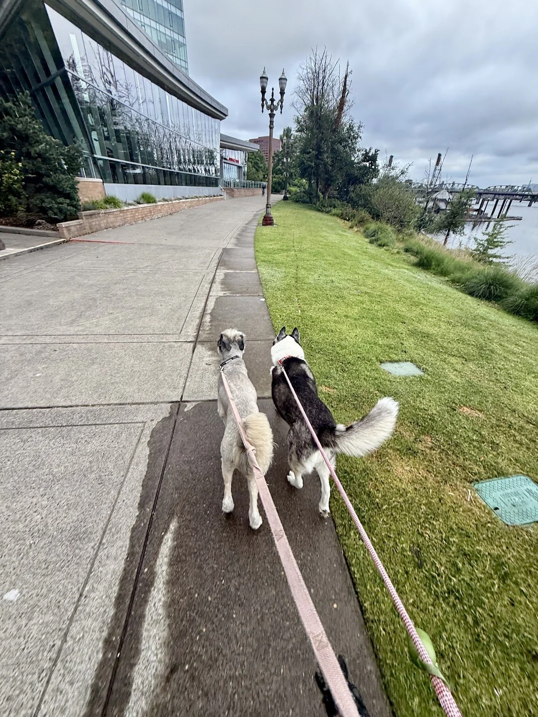 Bri and Dina walking together beside the waterfront