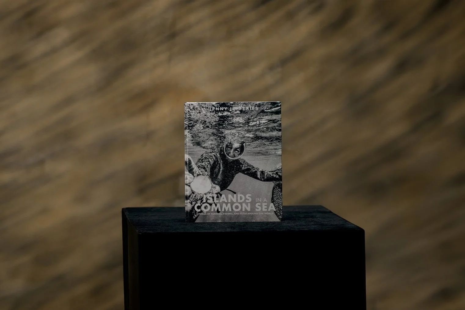 Islands In A Common Sea Video with José Jeuland - COCO Creative Studio