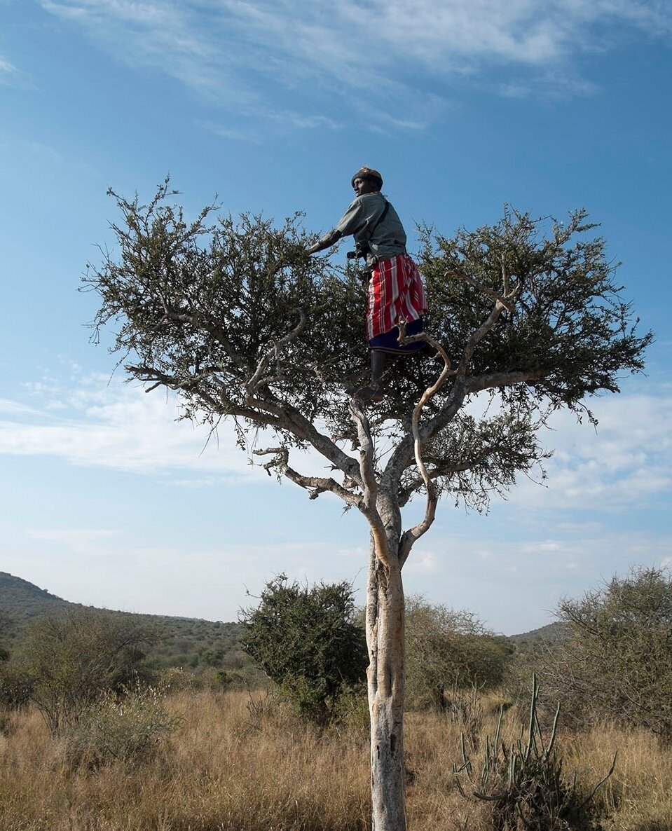 We do love a good view point! ⁠
⁠
⁠
#Wilderness #LaikipiaWilderness #Camp #SafariCamp #Laikipia #Kenya #Africa #Safari