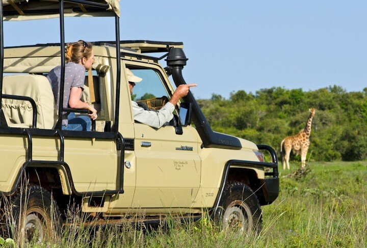 The guides point, mastered by Steven Carey. The best way to show your clients wildlife. ⁠
⁠
⁠
#Activities #Adventure #ChildFriendly #TailorMade #Wilderness #LaikipiaWilderness #Camp #SafariCamp #Laikipia #Kenya #Africa #Safari