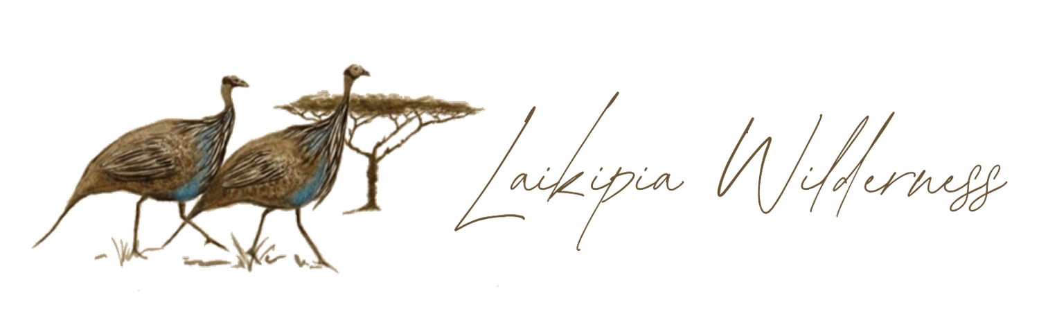 Lakipia Wilderness